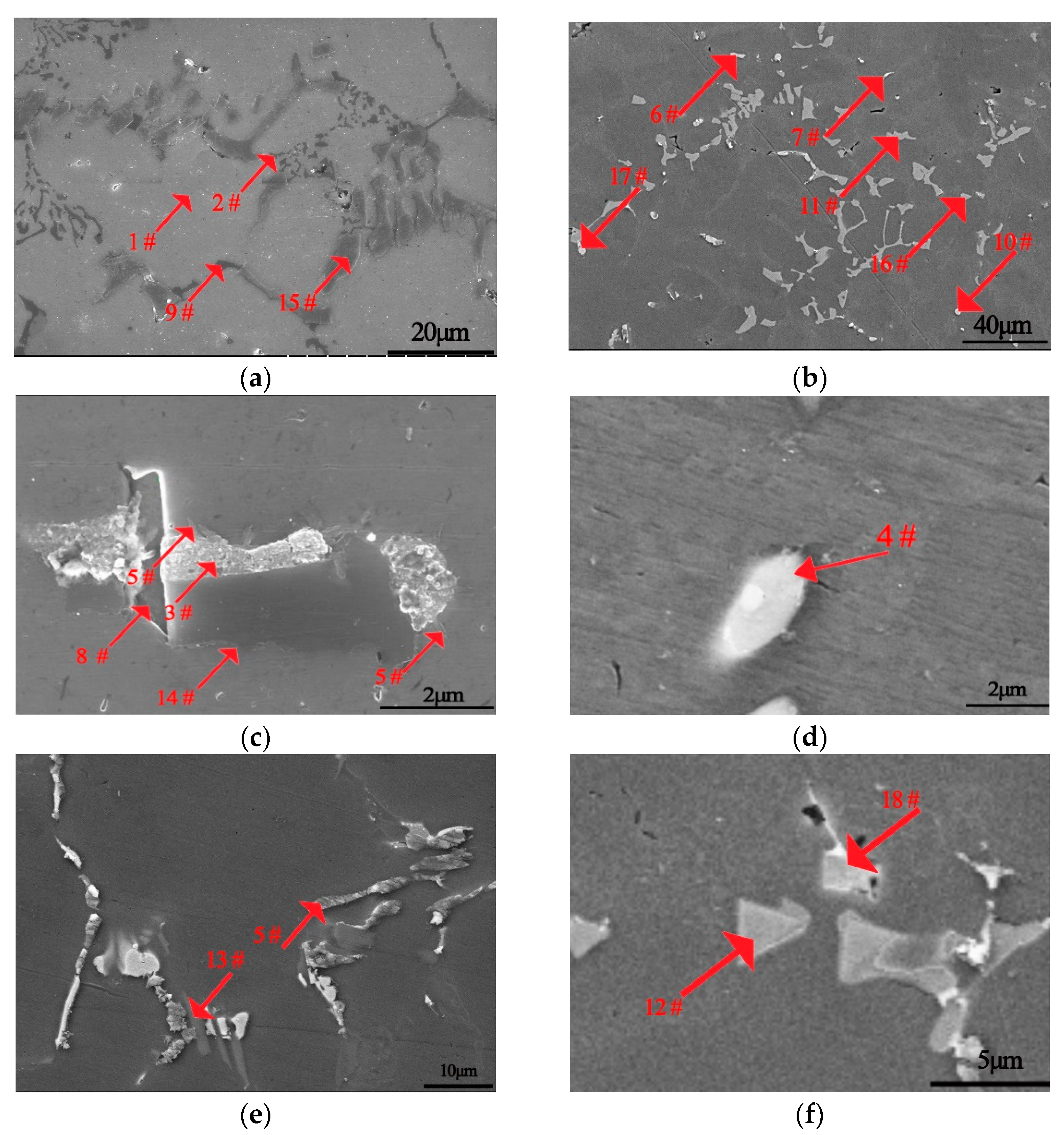 Metals 11 00357 g002