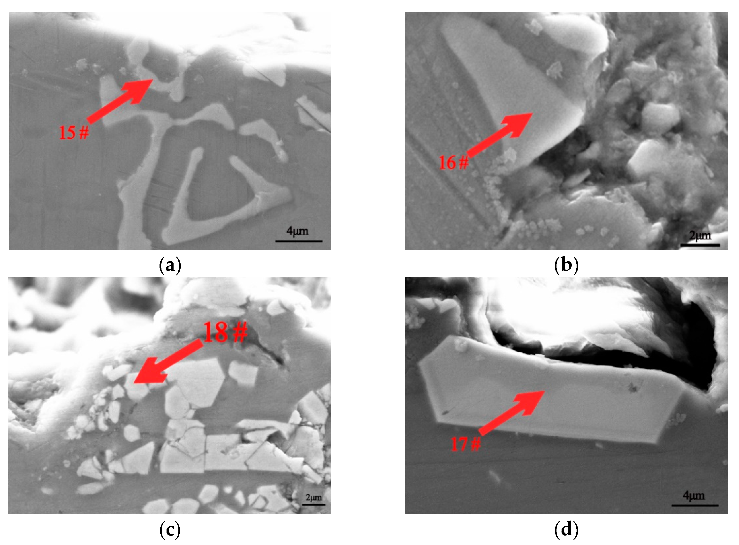 Metals 11 00357 g004