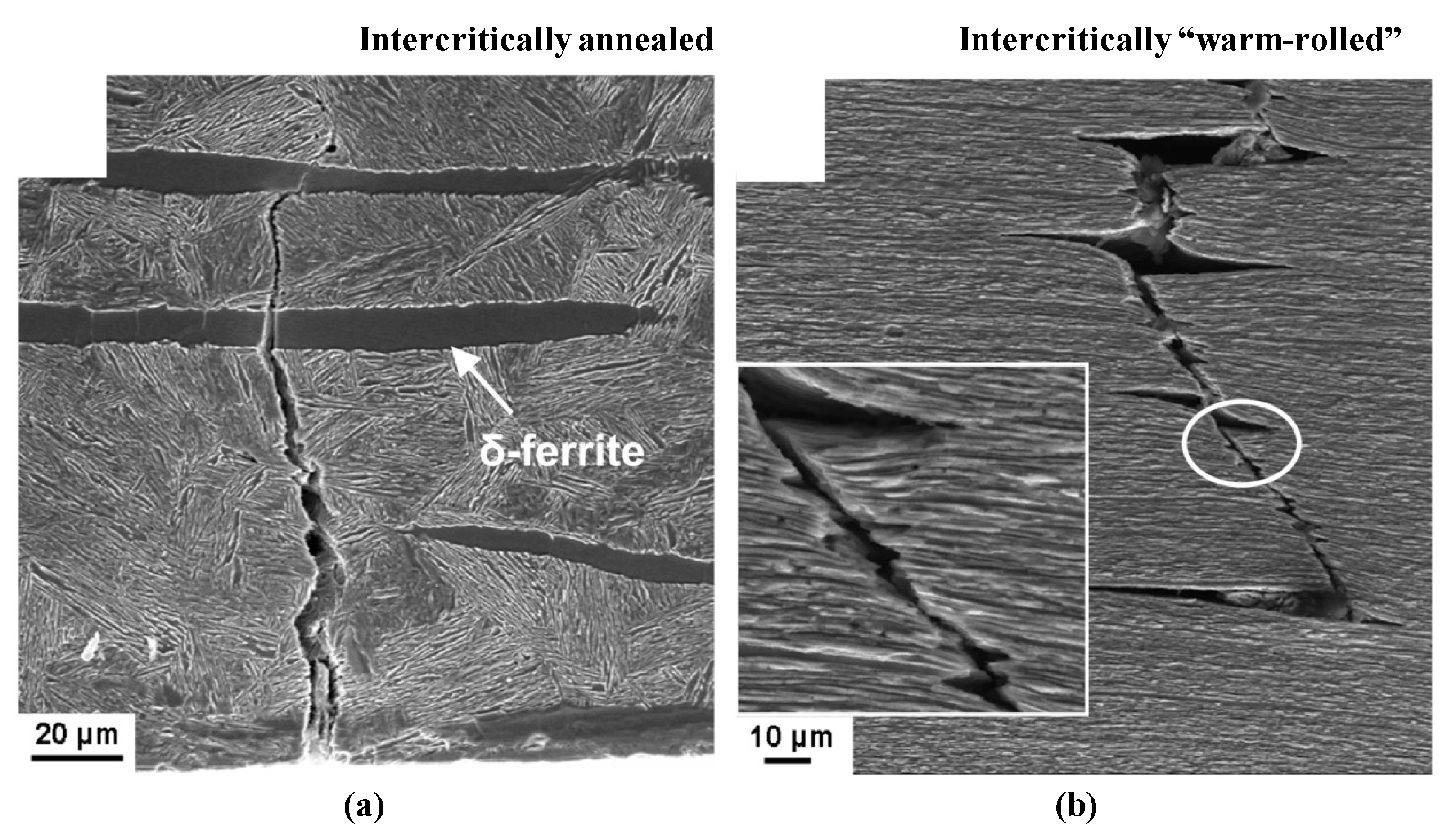 Metals 11 00358 g009
