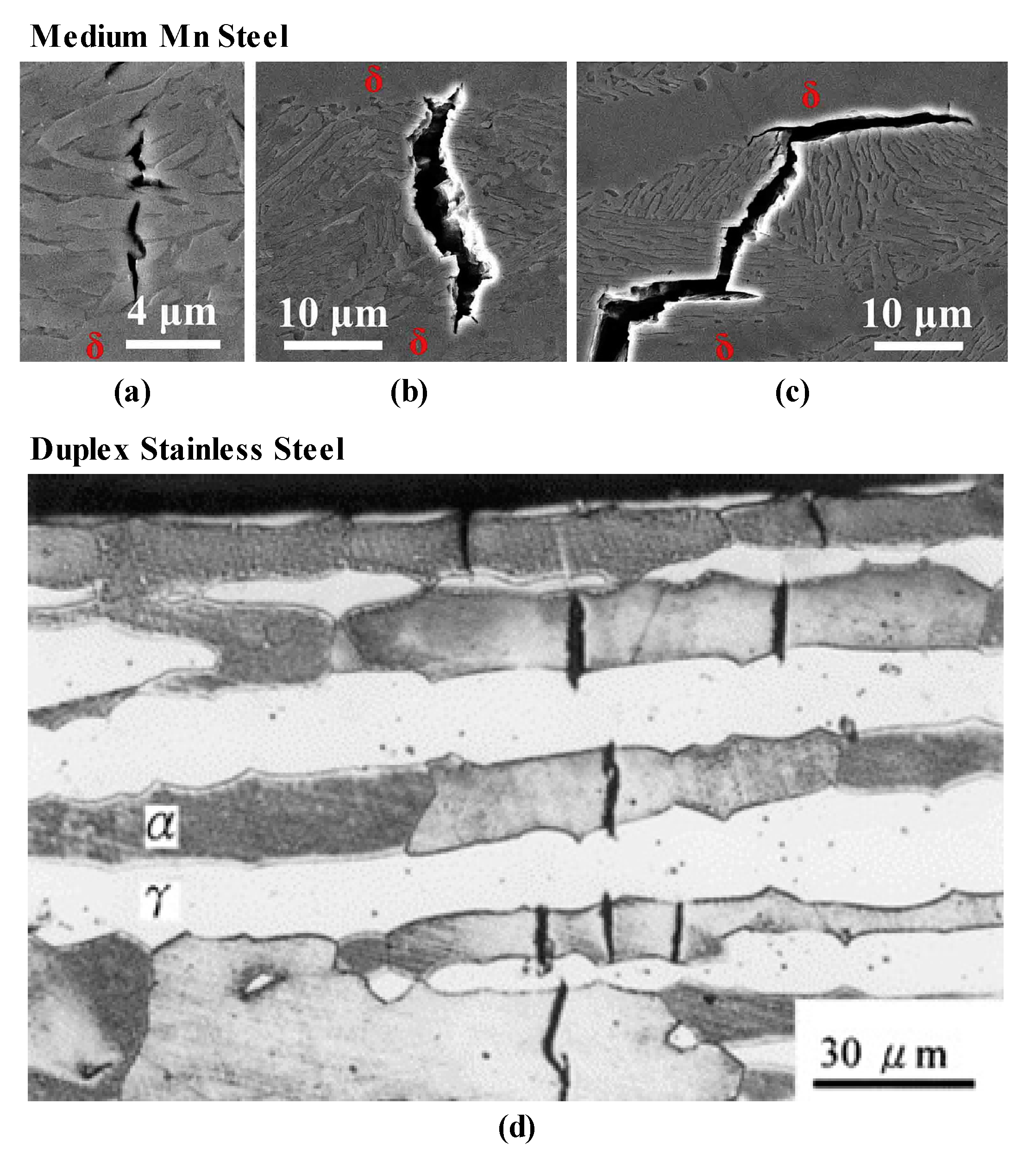 Metals 11 00358 g012