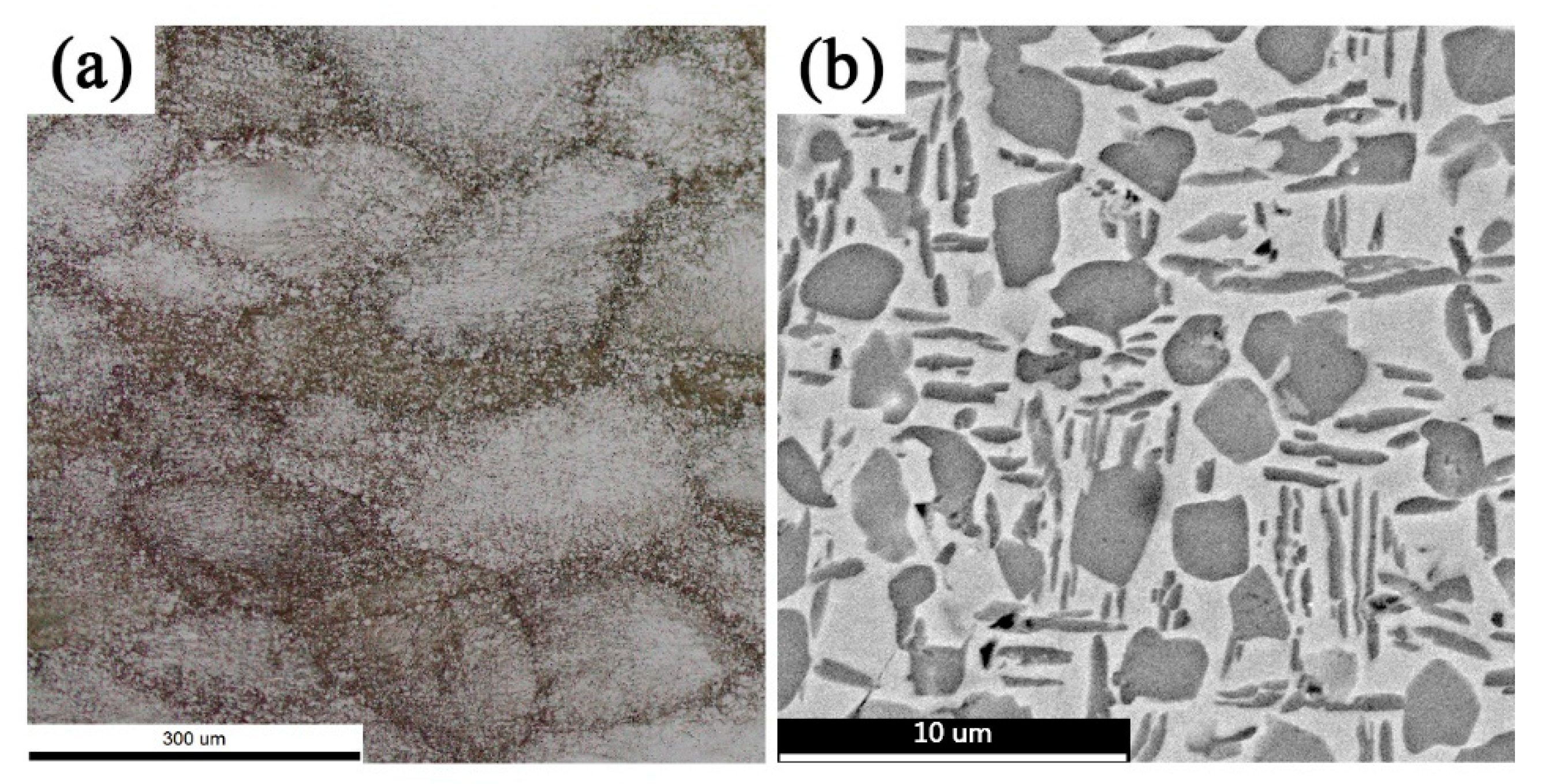 Metals 11 00359 g001