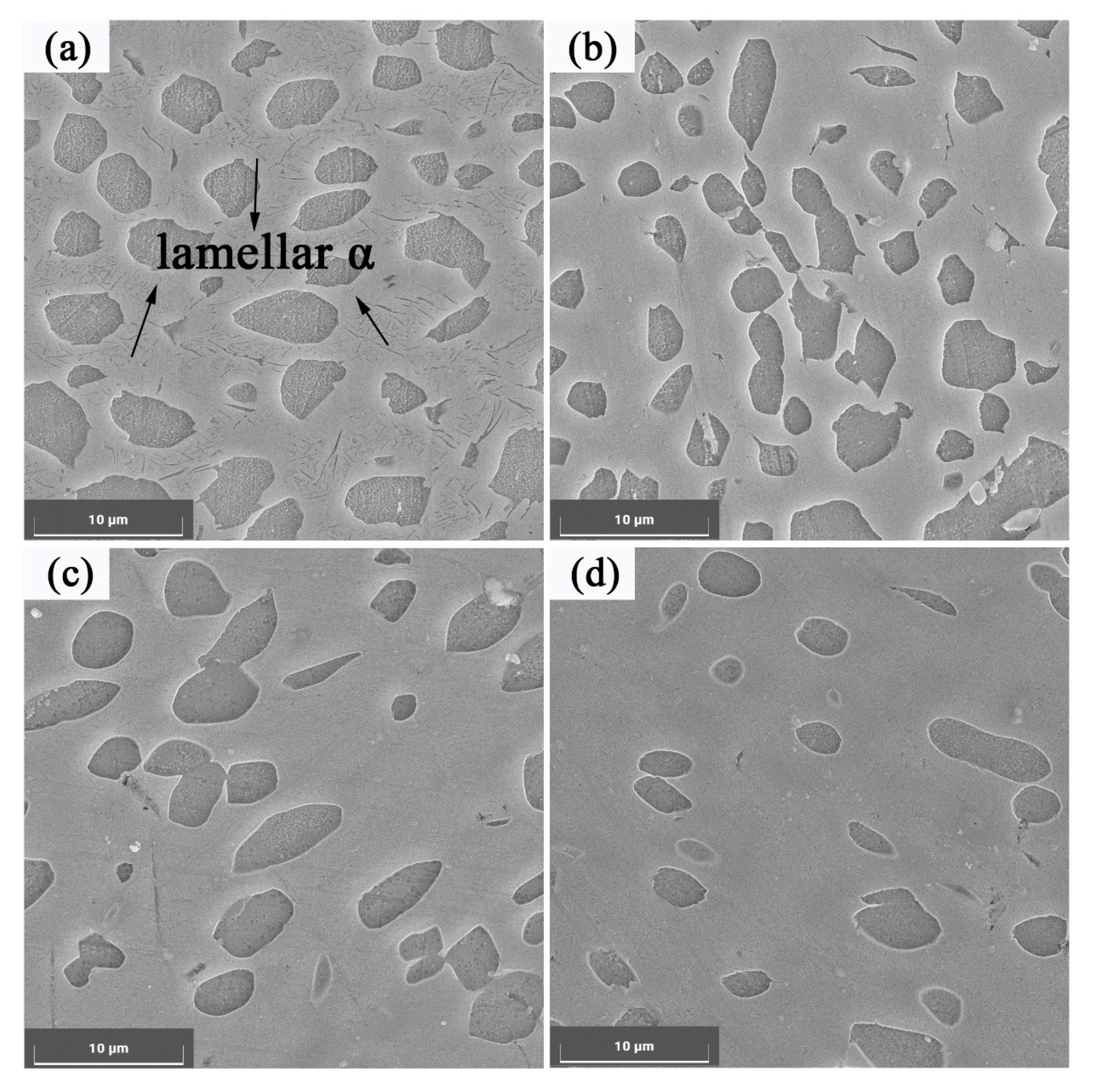 Metals 11 00359 g004