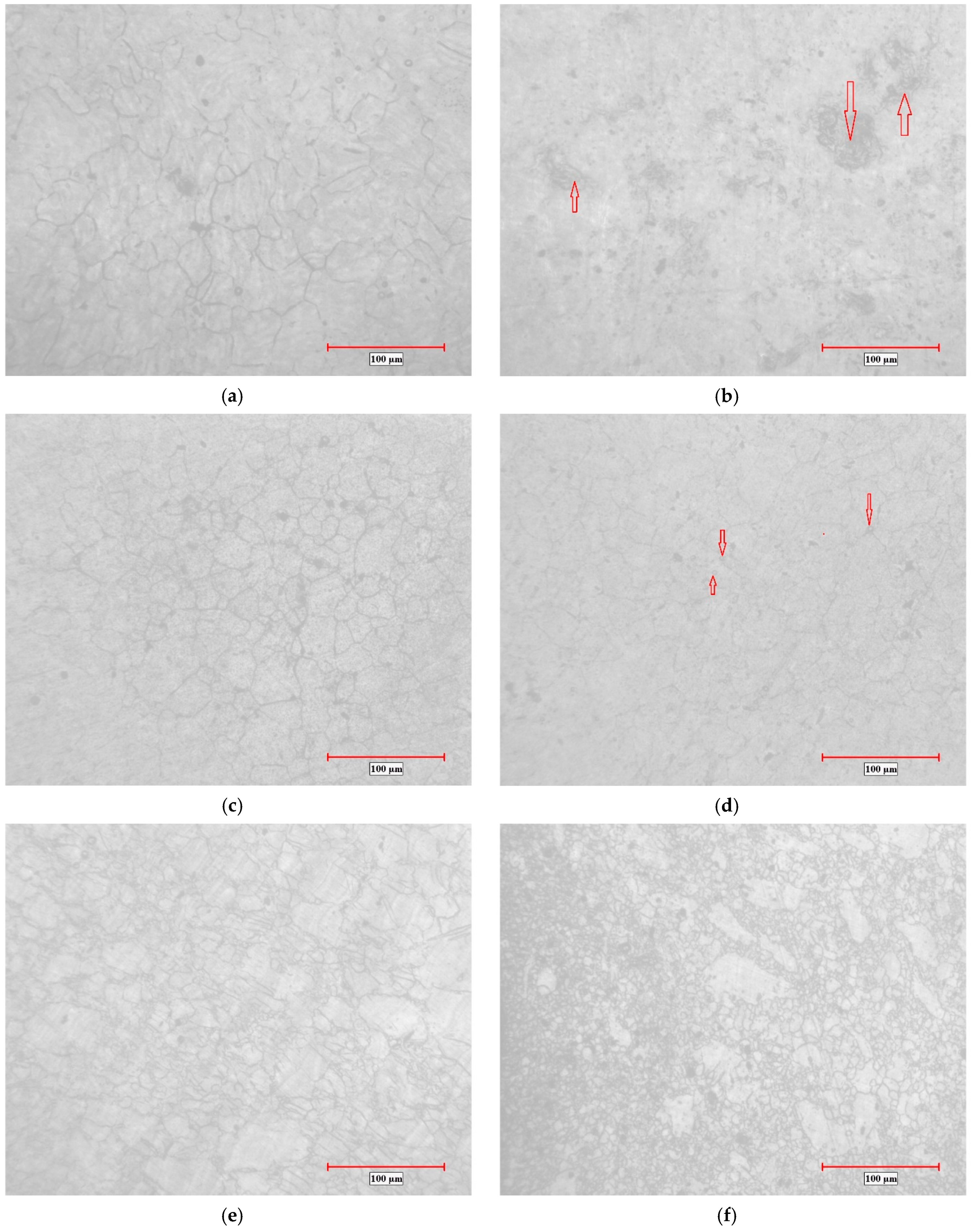 Metals 11 00363 g002