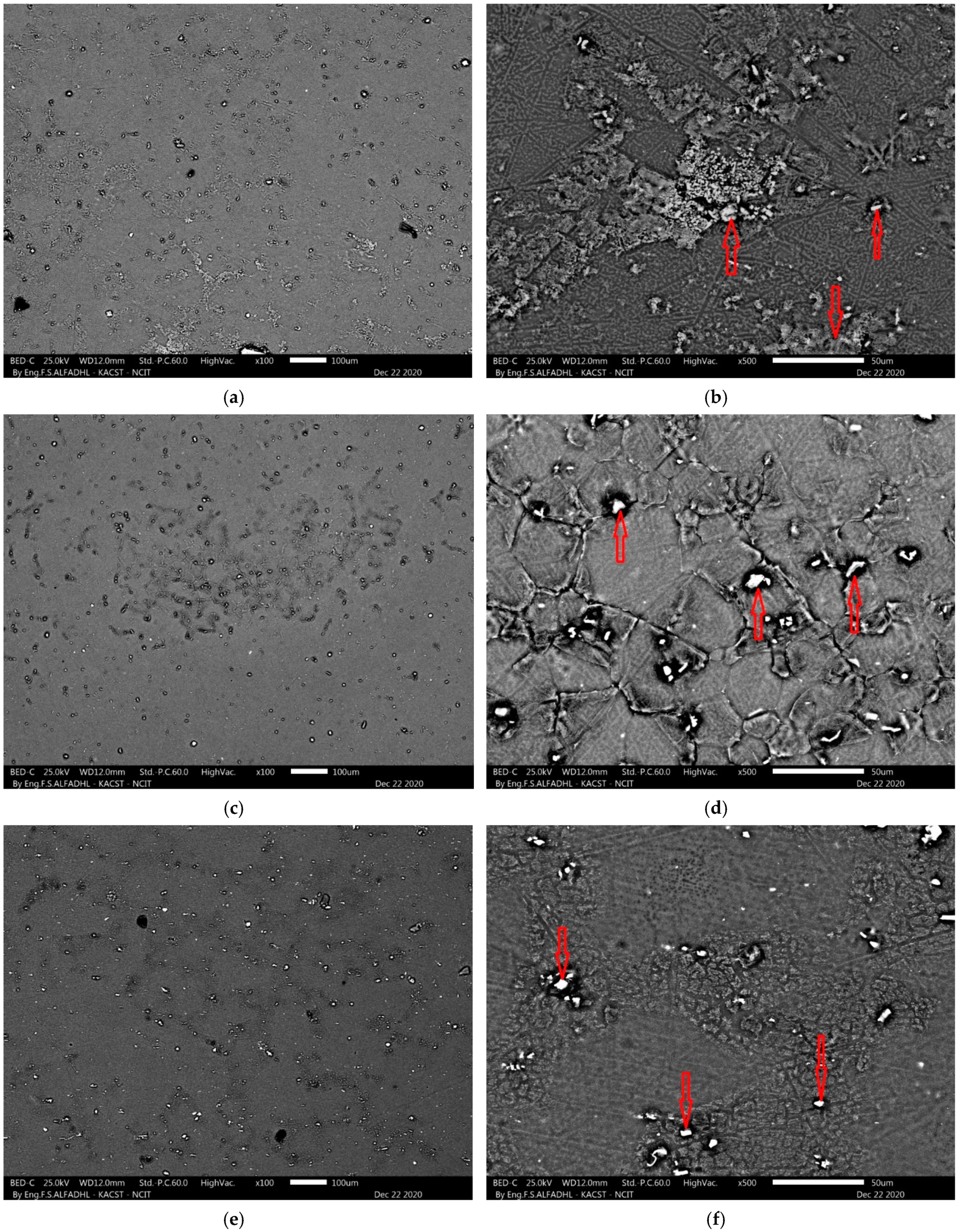 Metals 11 00363 g003