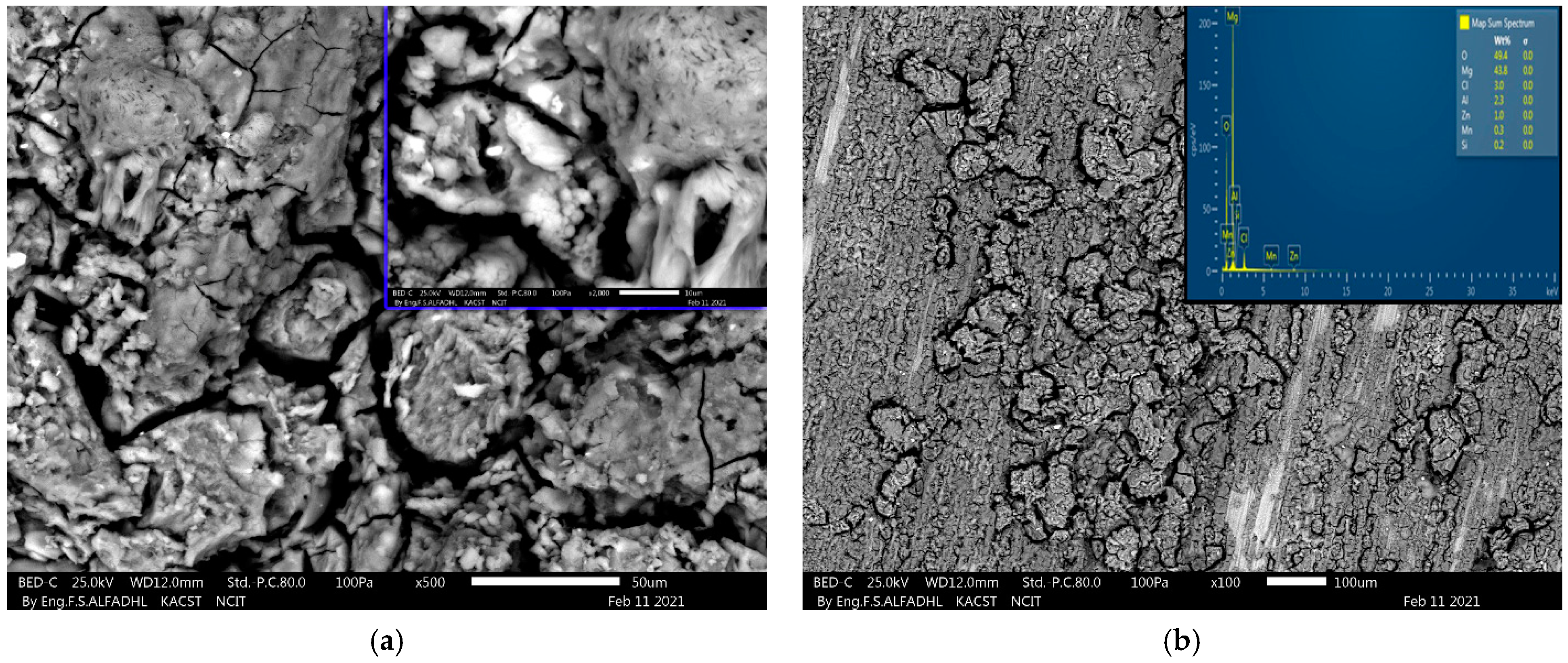 Metals 11 00363 g006a