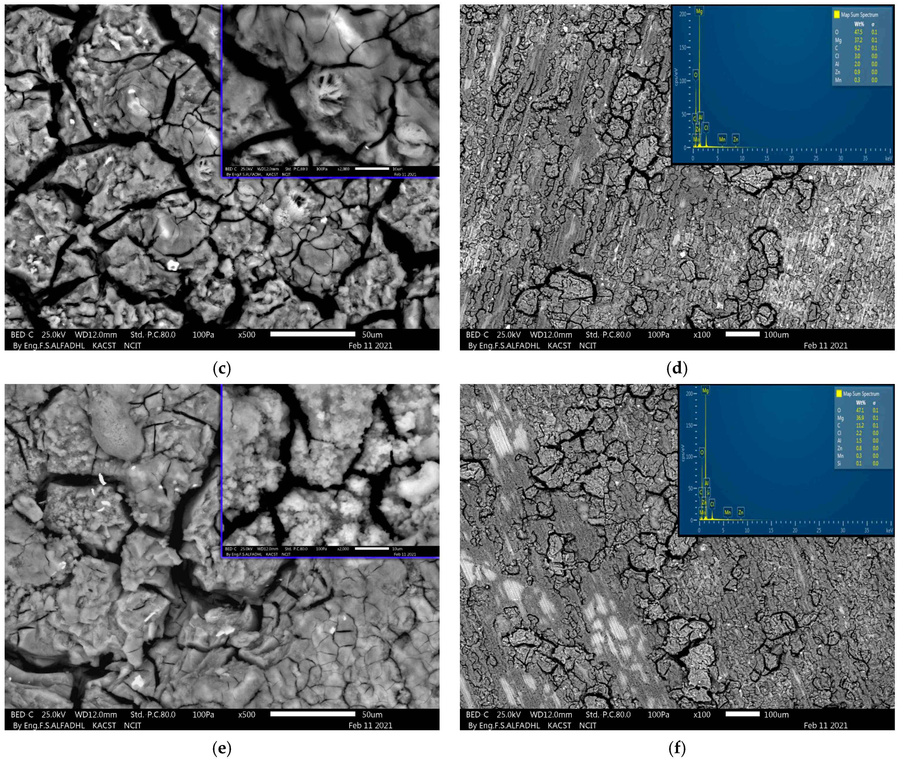 Metals 11 00363 g006b