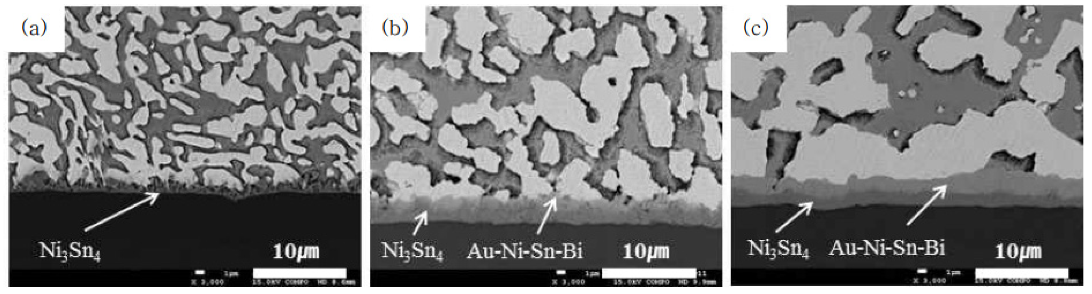 Metals 11 00364 g006