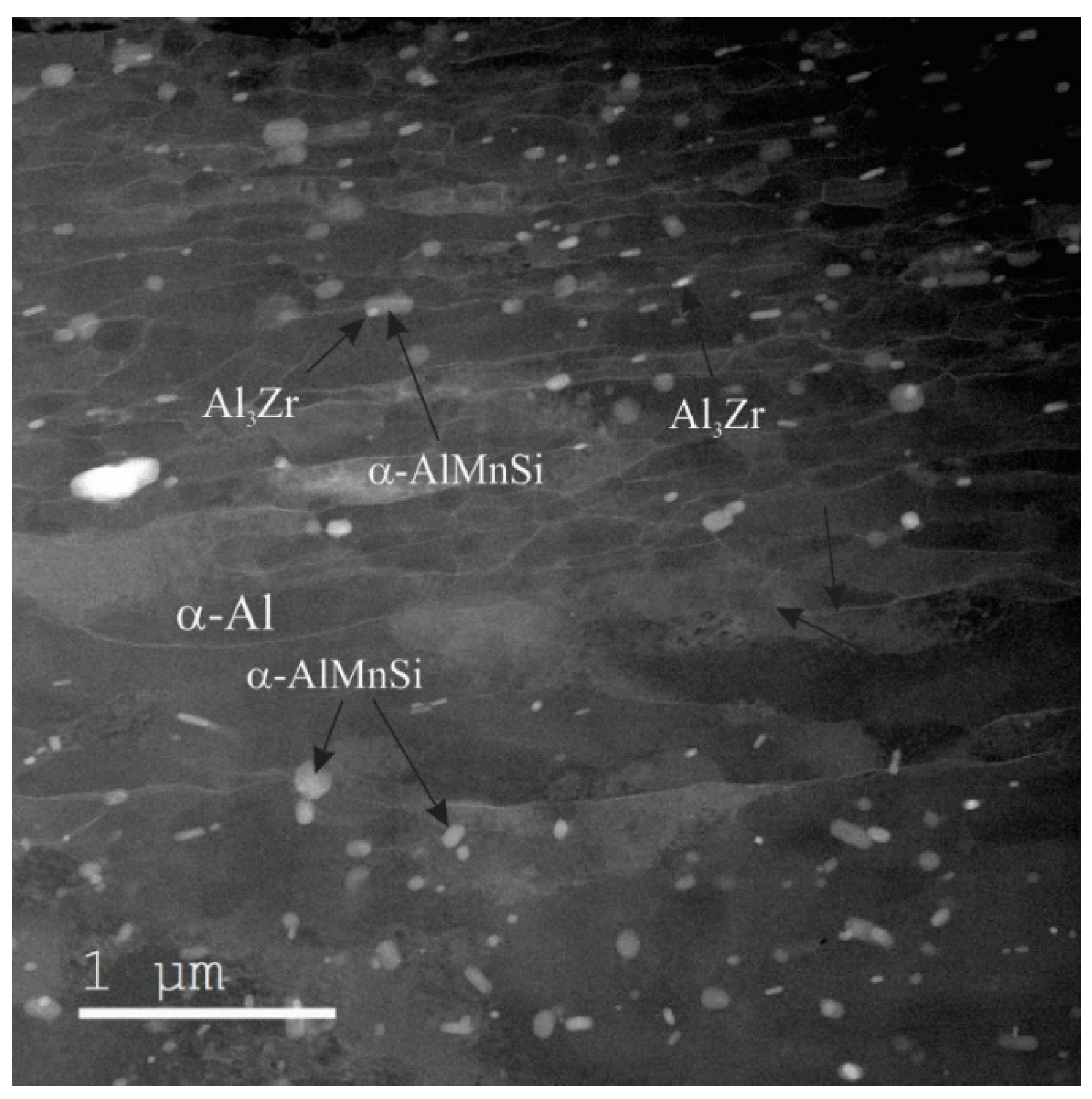 Metals 11 00368 g008