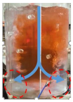 Metals 11 00369 i008