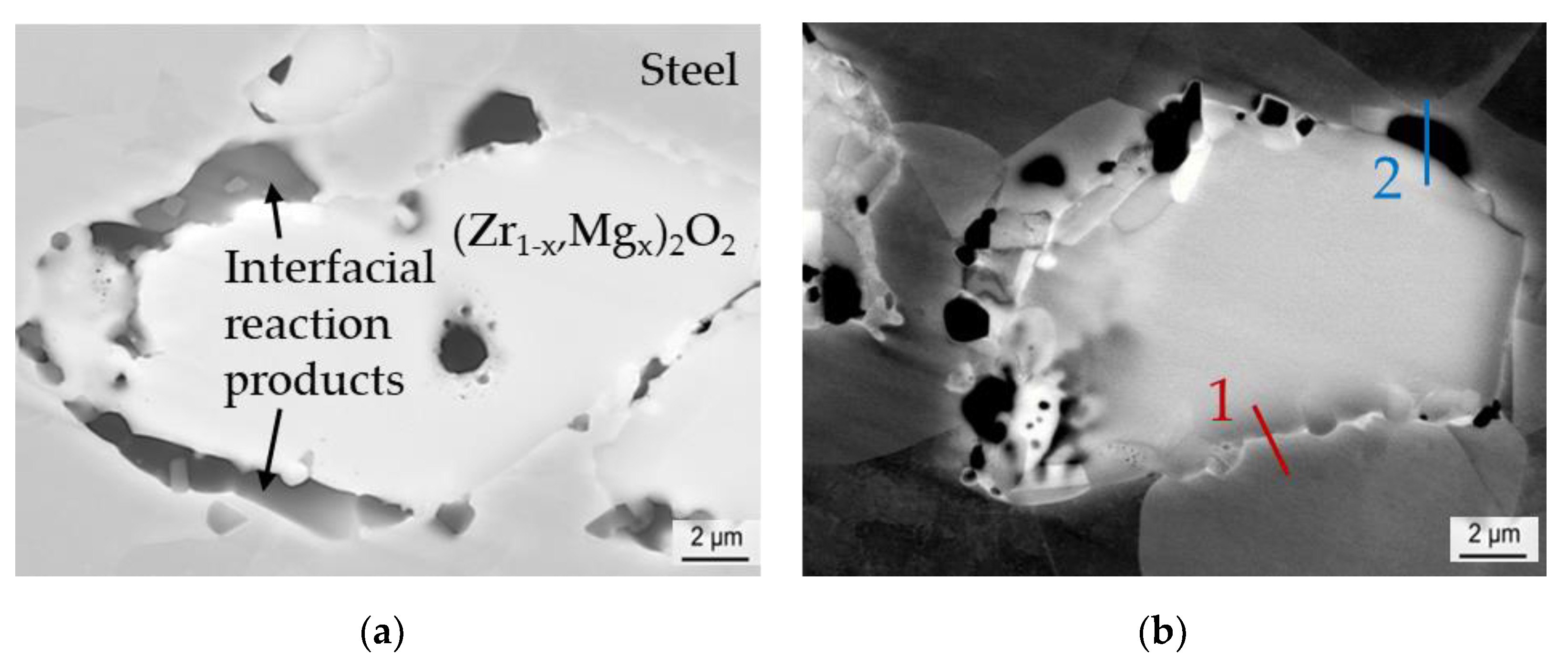 Metals 11 00378 g010