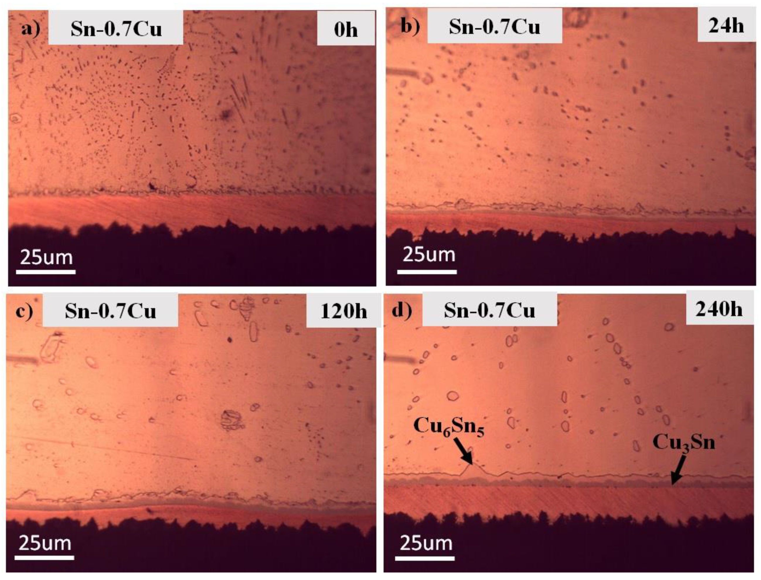 Metals 11 00380 g007 Metals 11 00380 g007