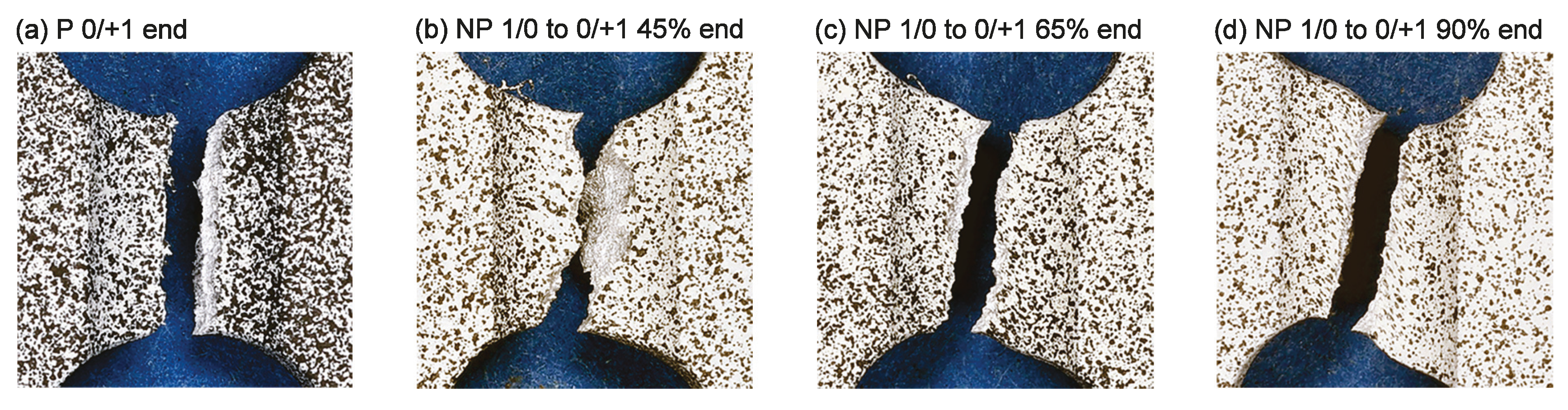 Metals 11 00381 g014