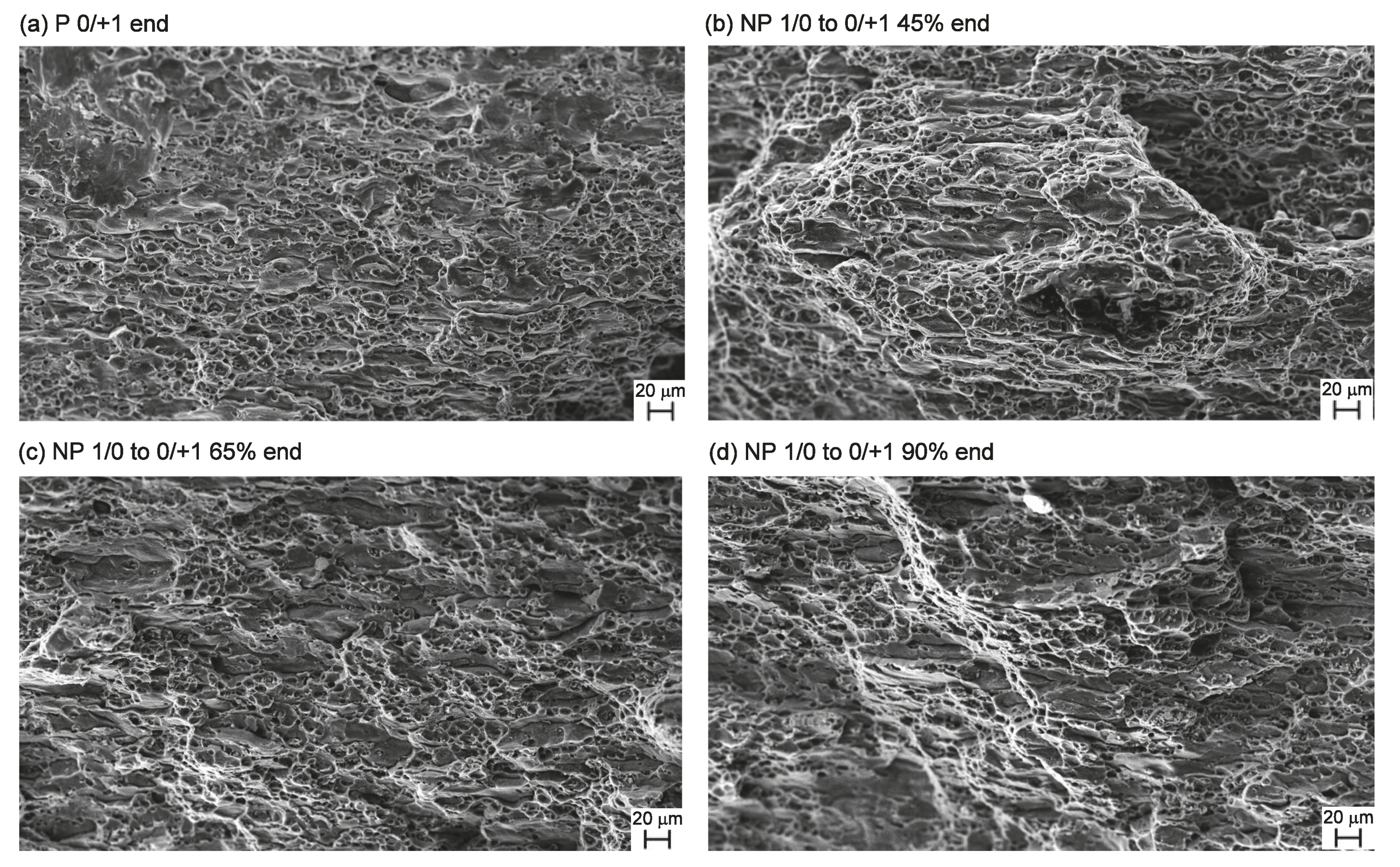 Metals 11 00381 g015