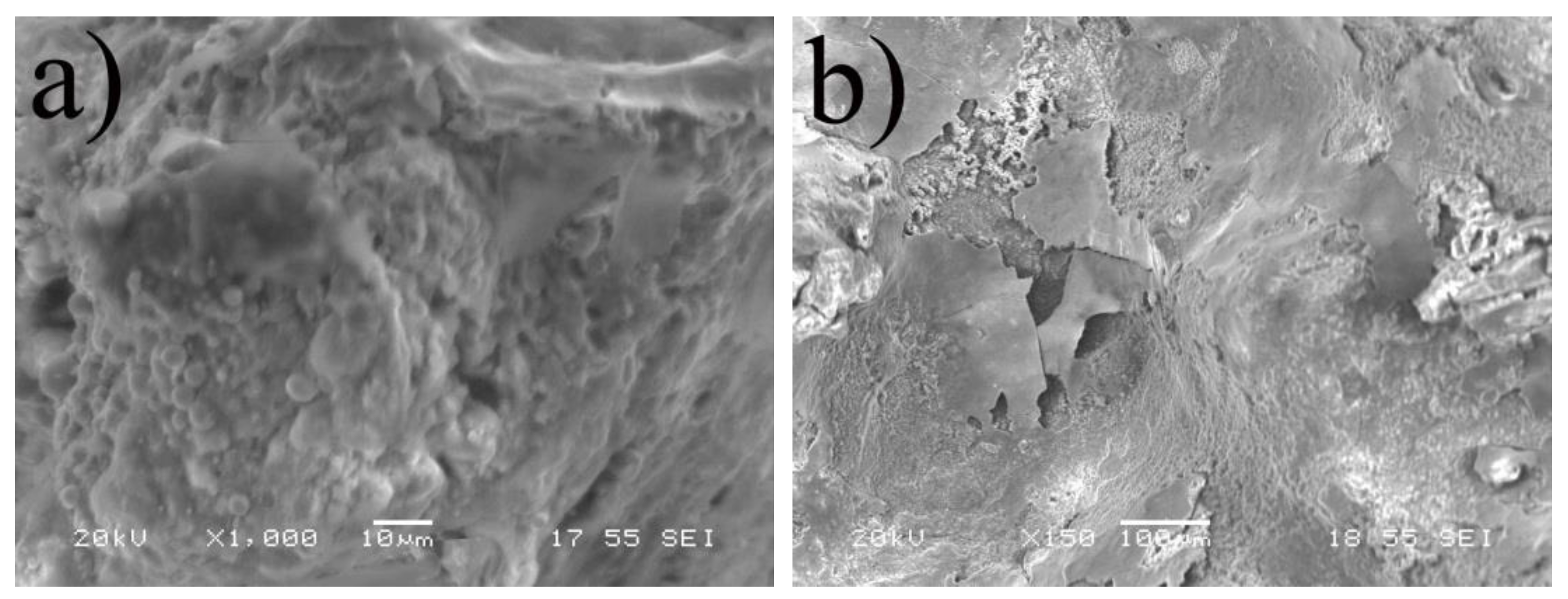 Metals 11 00382 g006