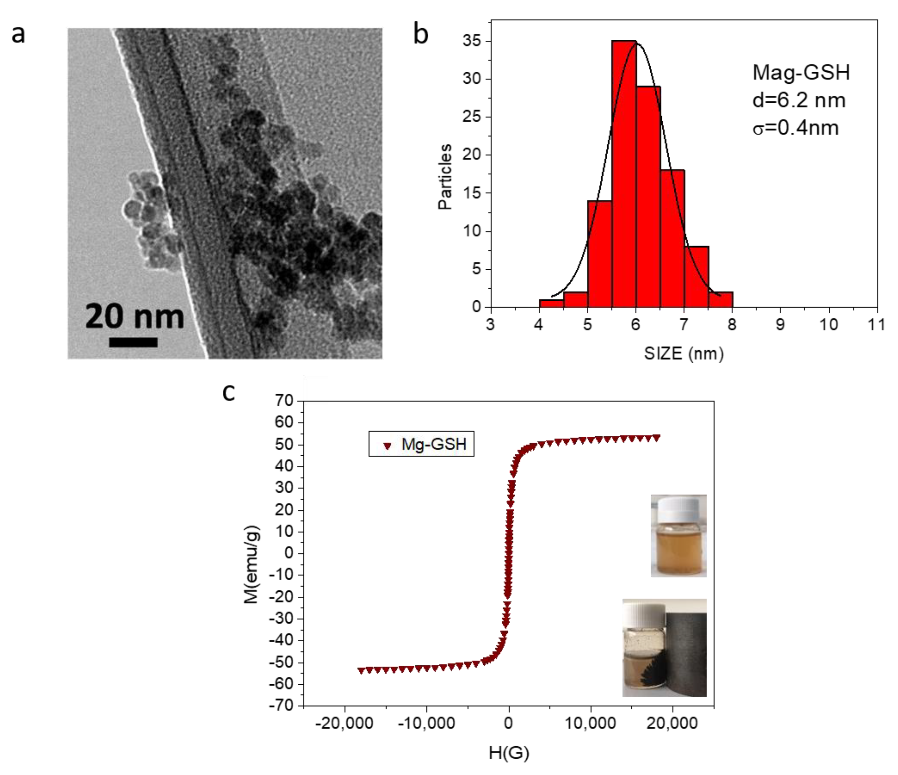 Metals 11 00383 g003
