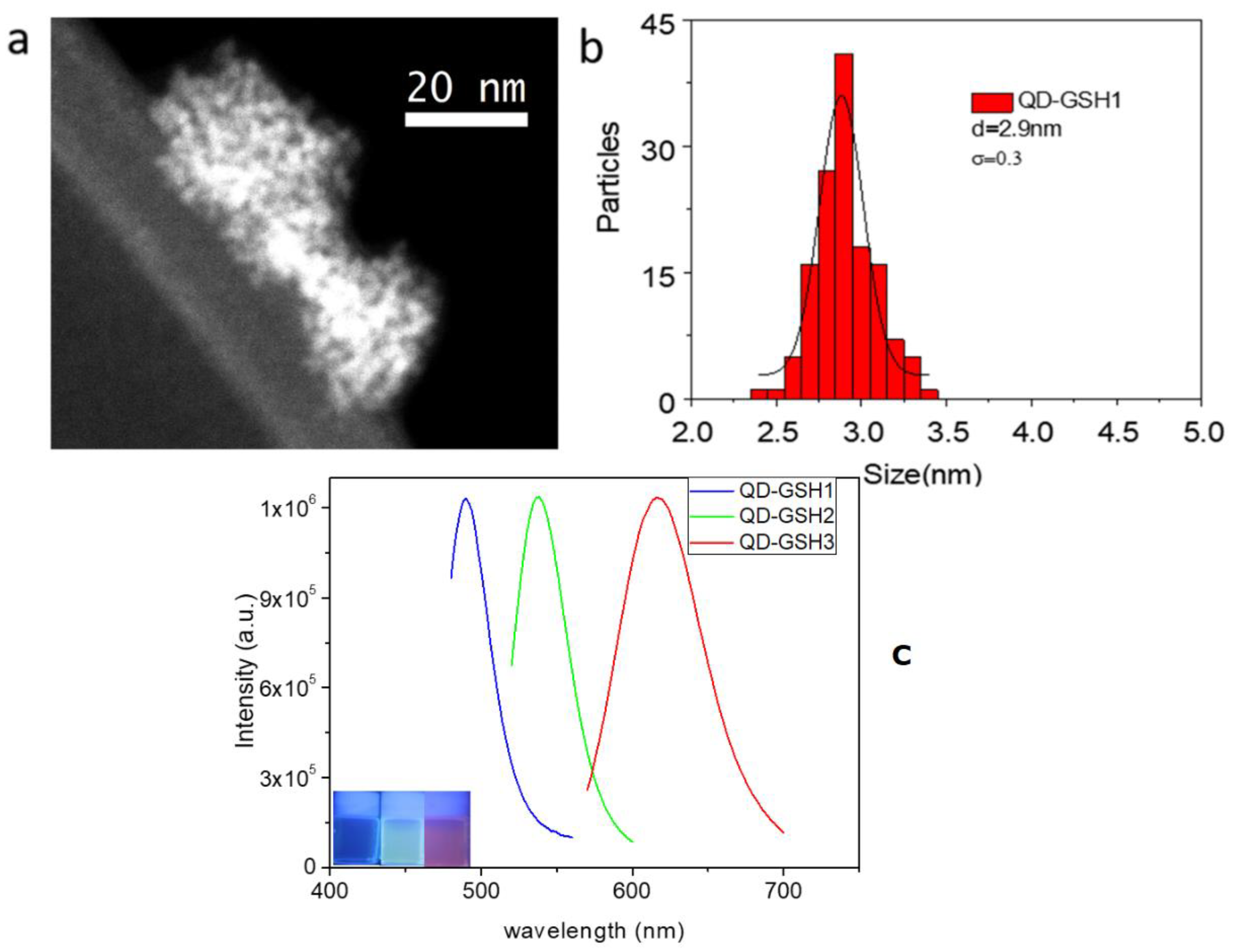 Metals 11 00383 g004