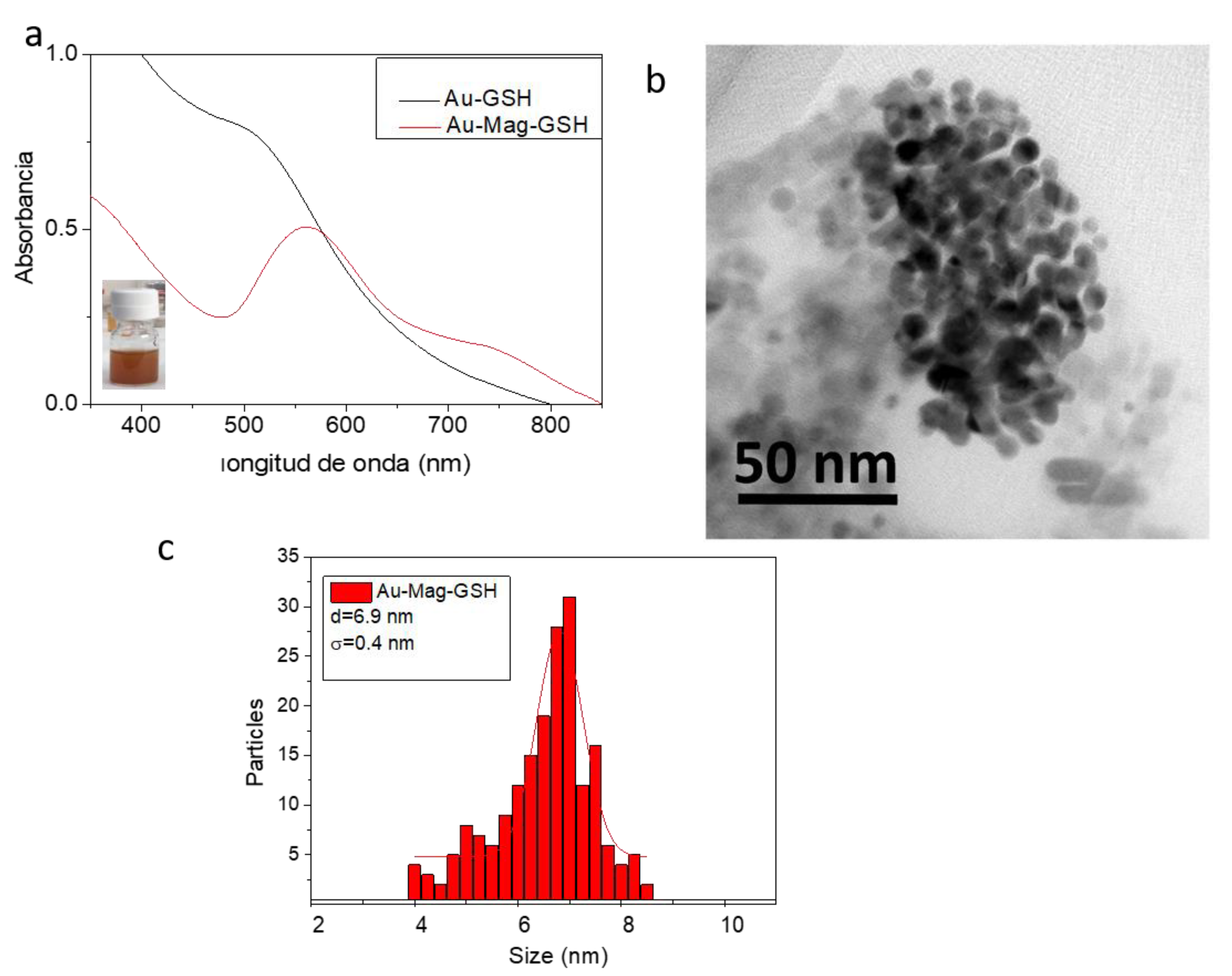 Metals 11 00383 g005
