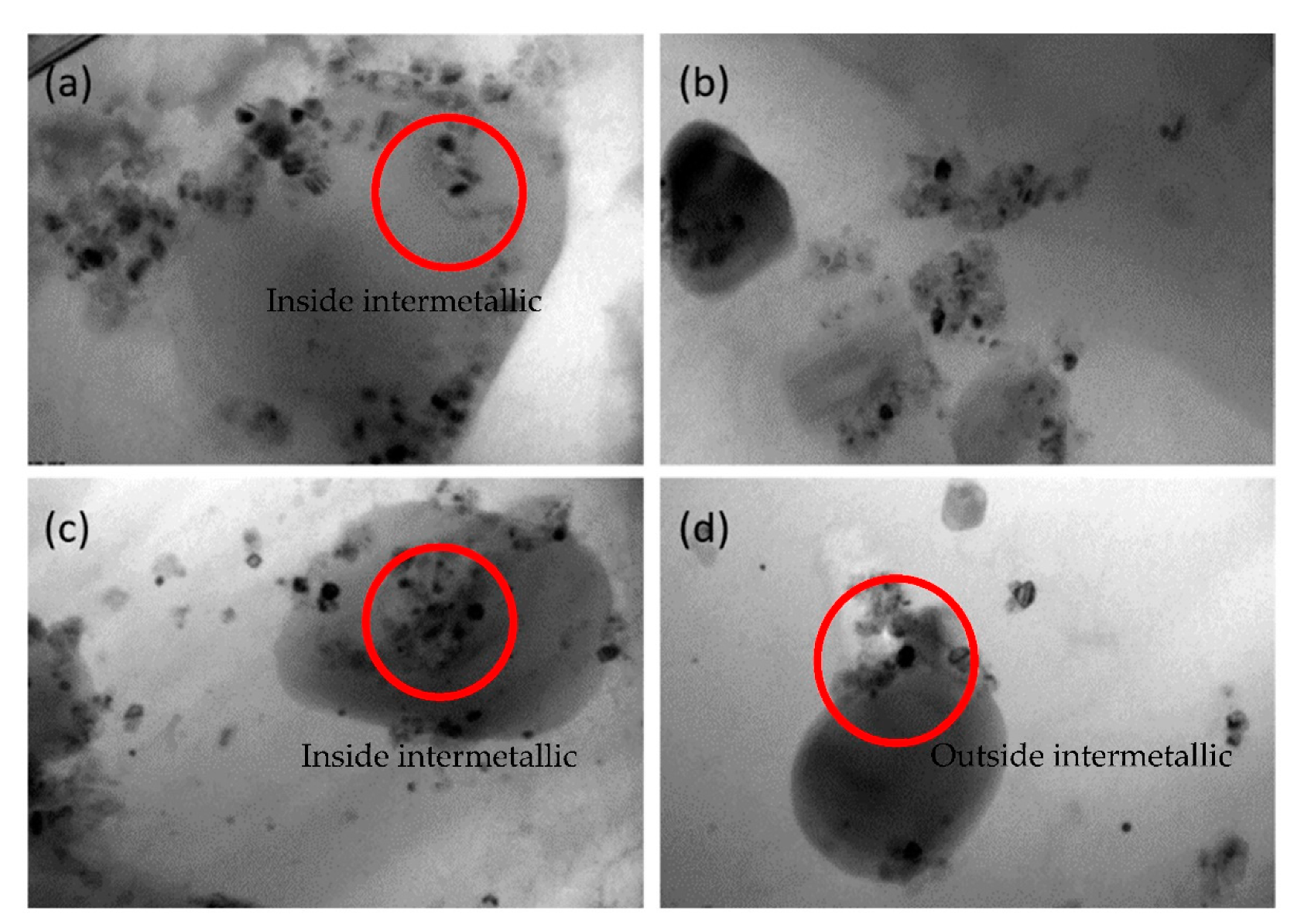 Metals 11 00390 g007