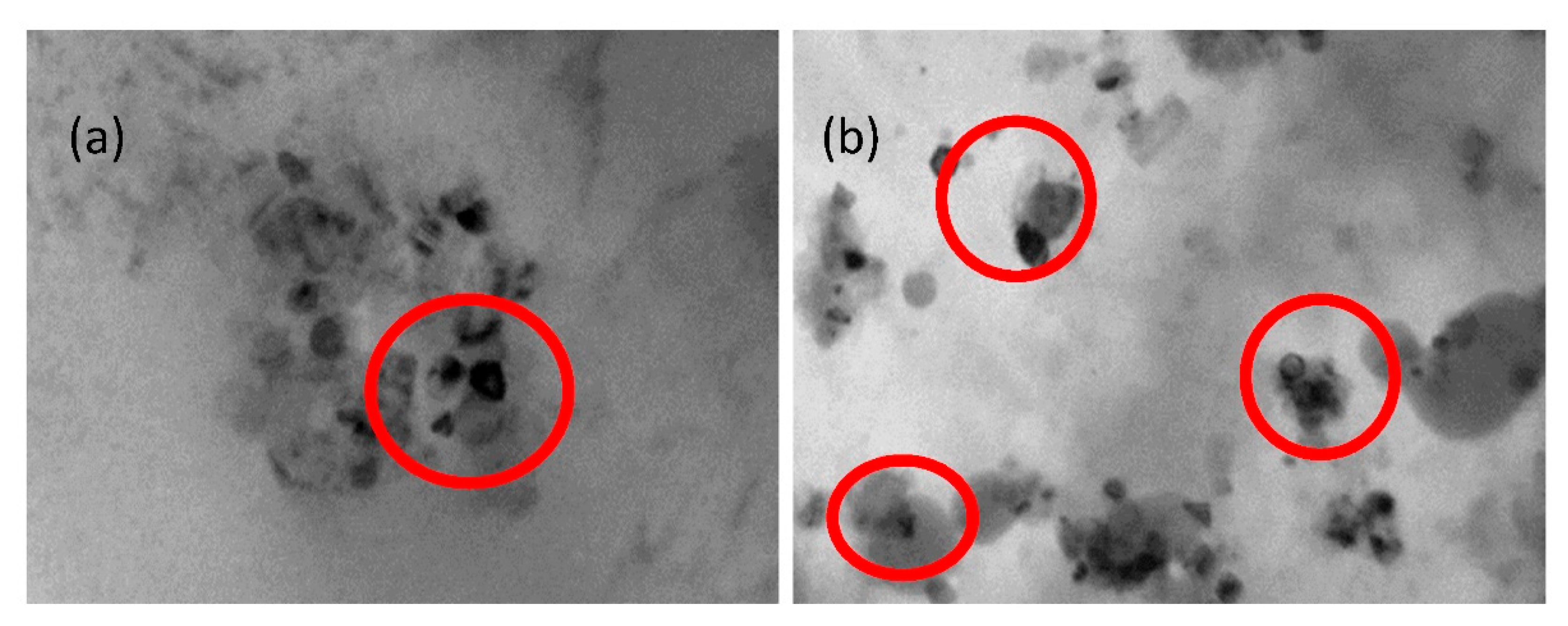 Metals 11 00390 g011