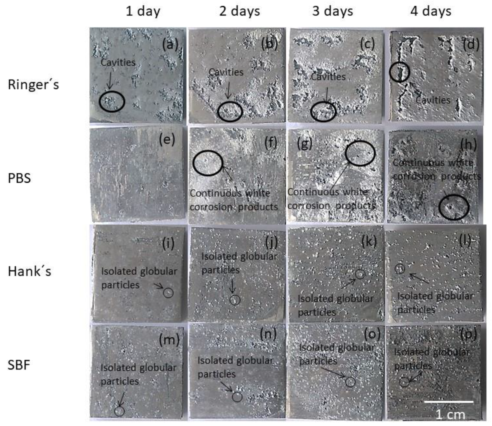 Metals 11 00391 g001