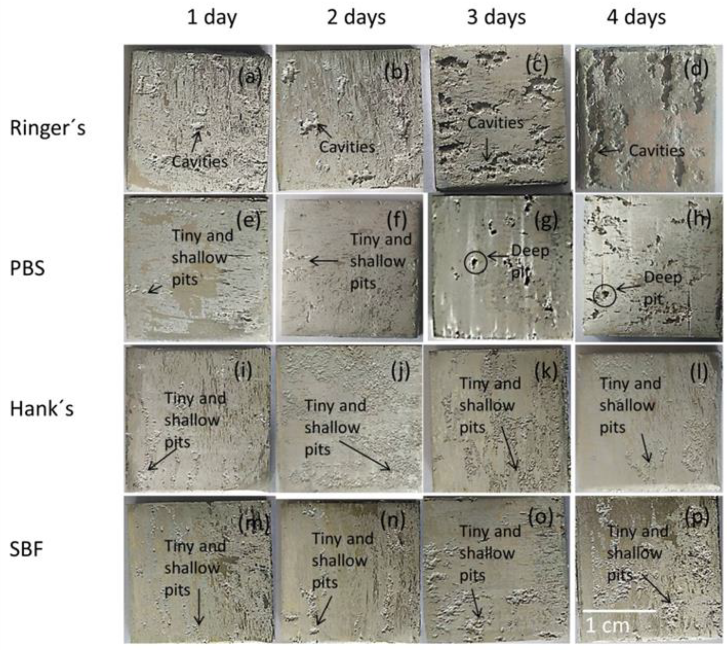 Metals 11 00391 g002