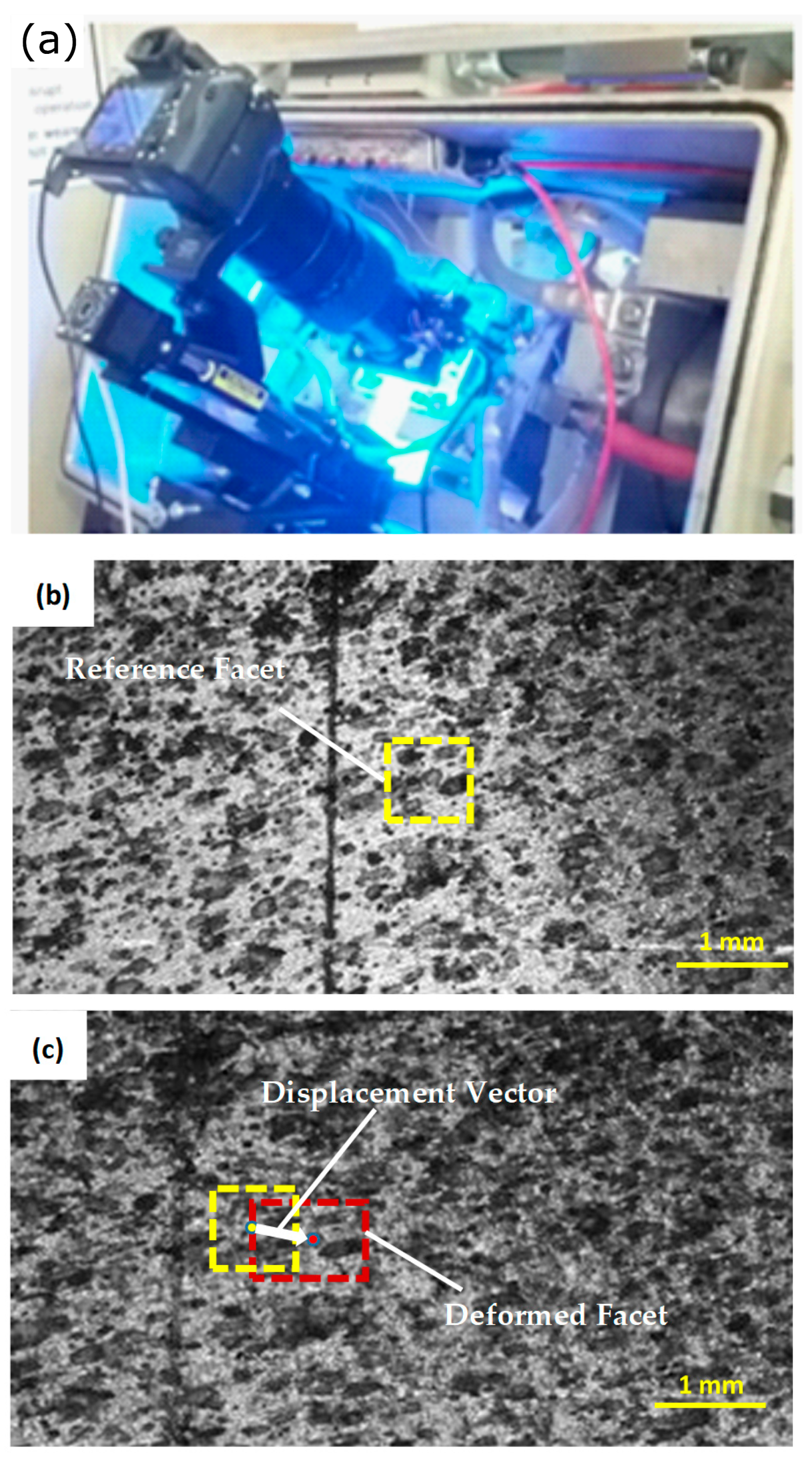 Metals 11 00396 g006