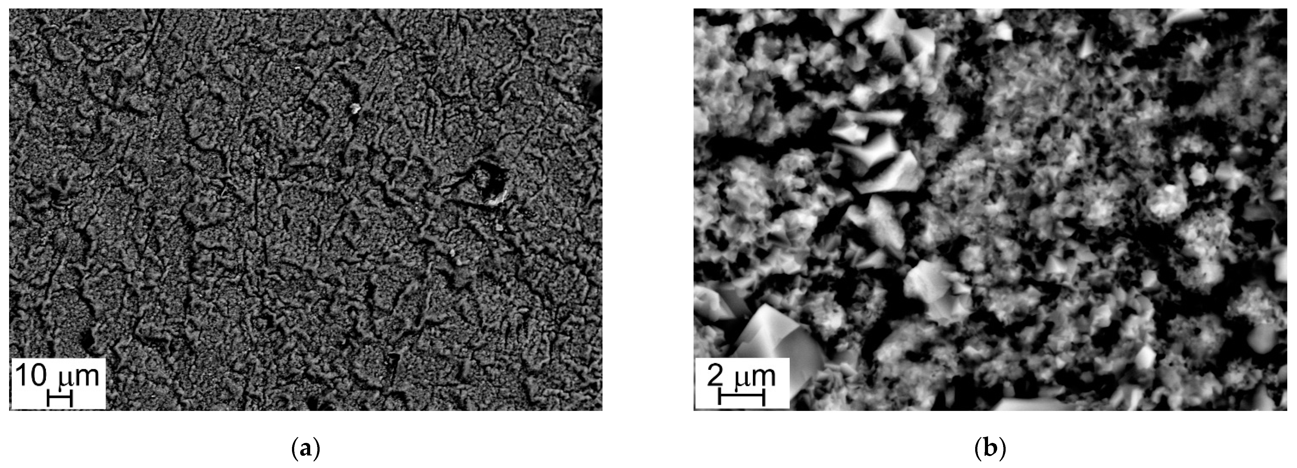 Metals 11 00405 g004