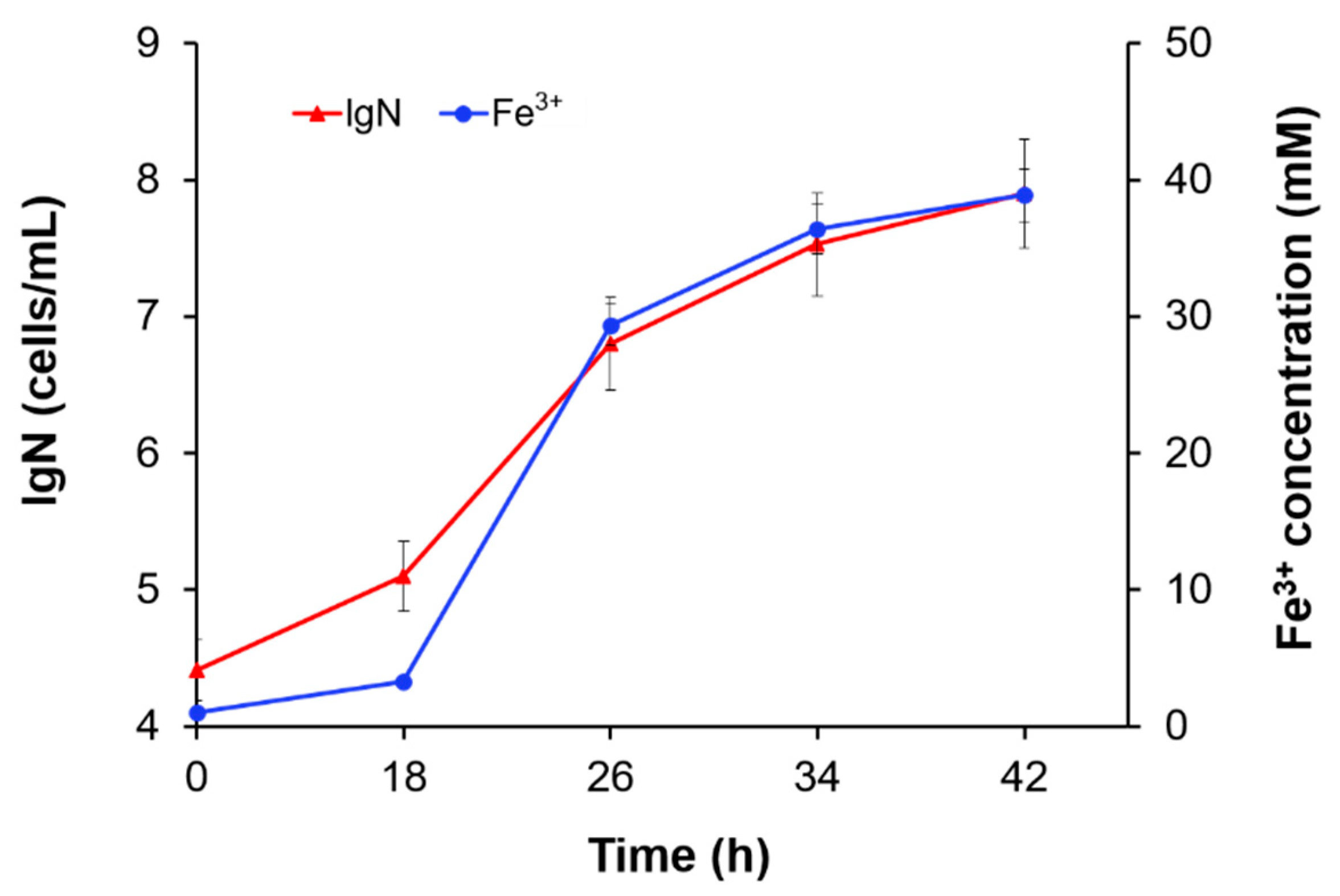 Metals 11 00425 g002