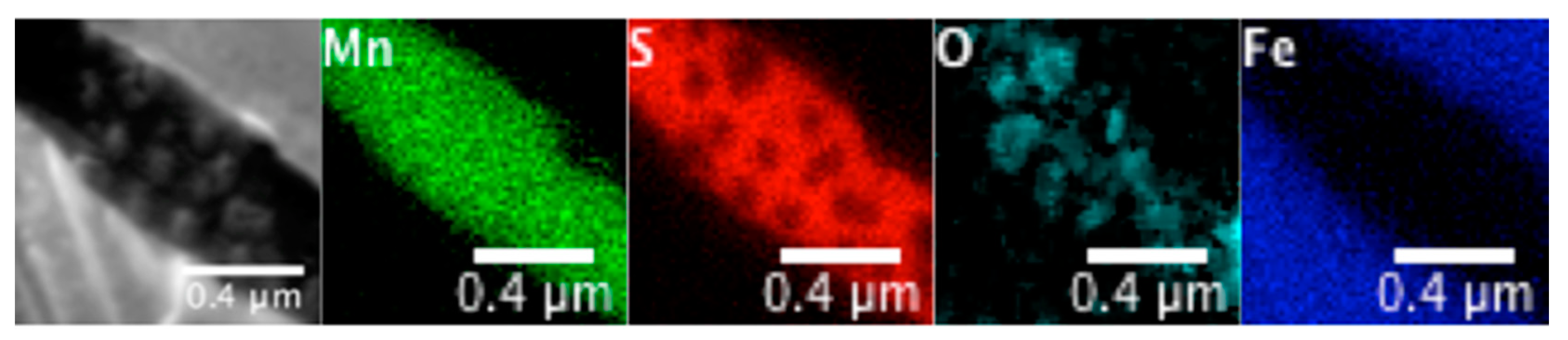 Metals 11 00428 g004