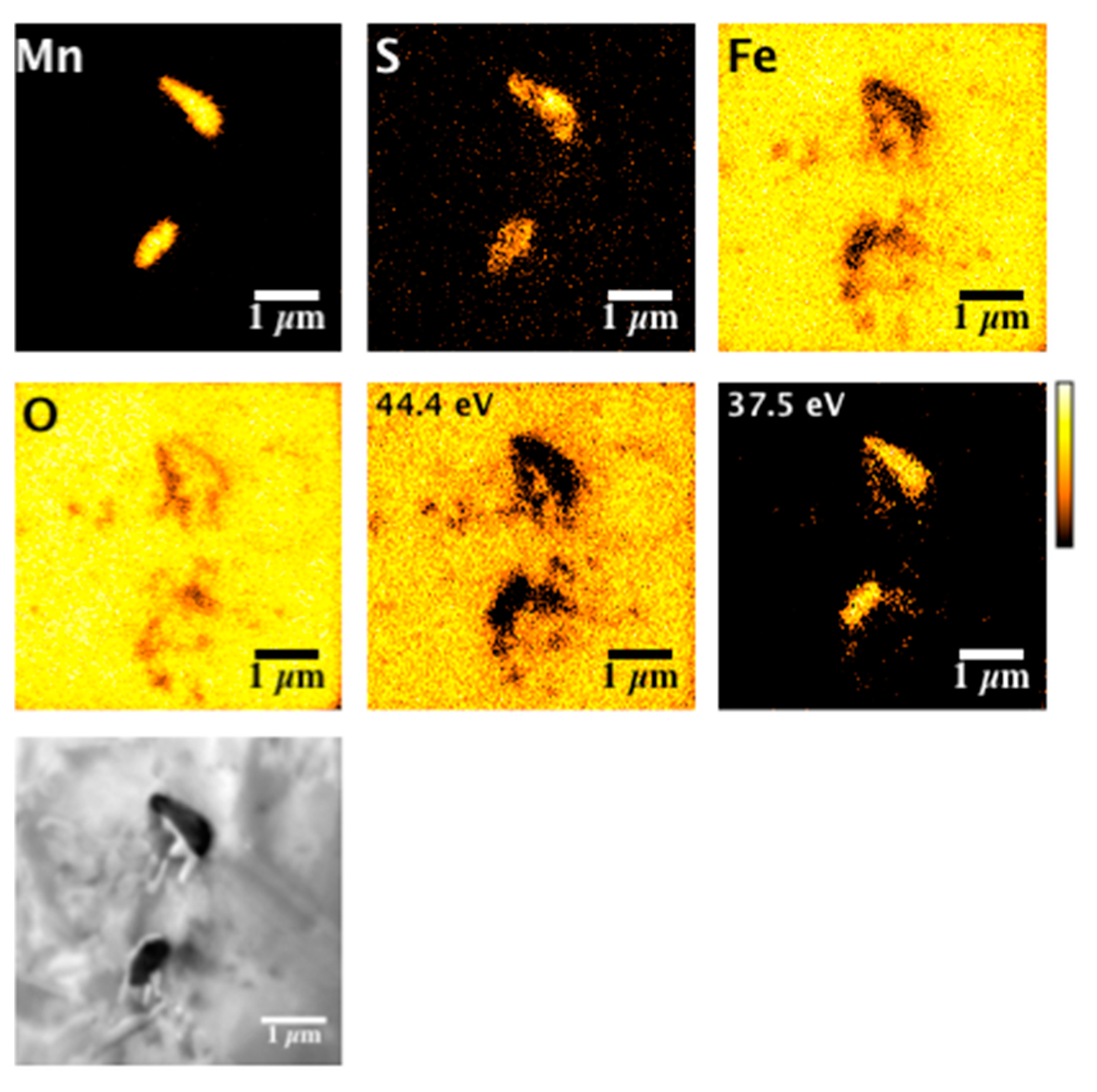 Metals 11 00428 g007