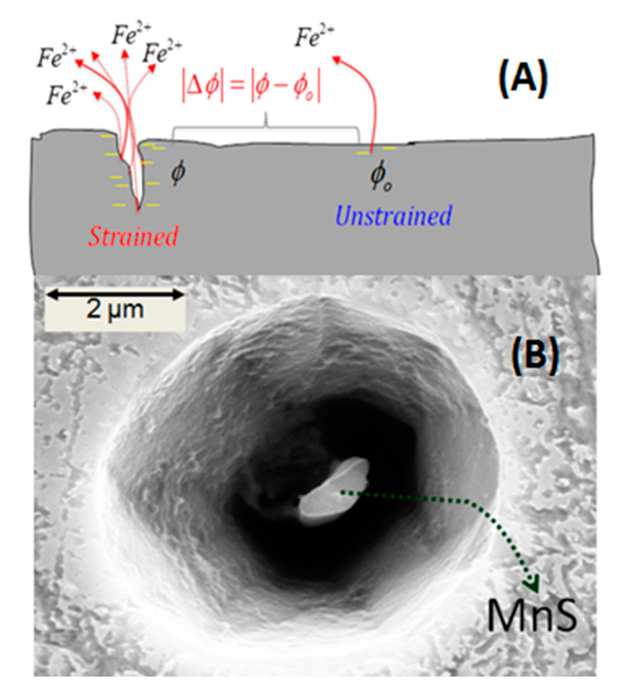 Metals 11 00428 g010