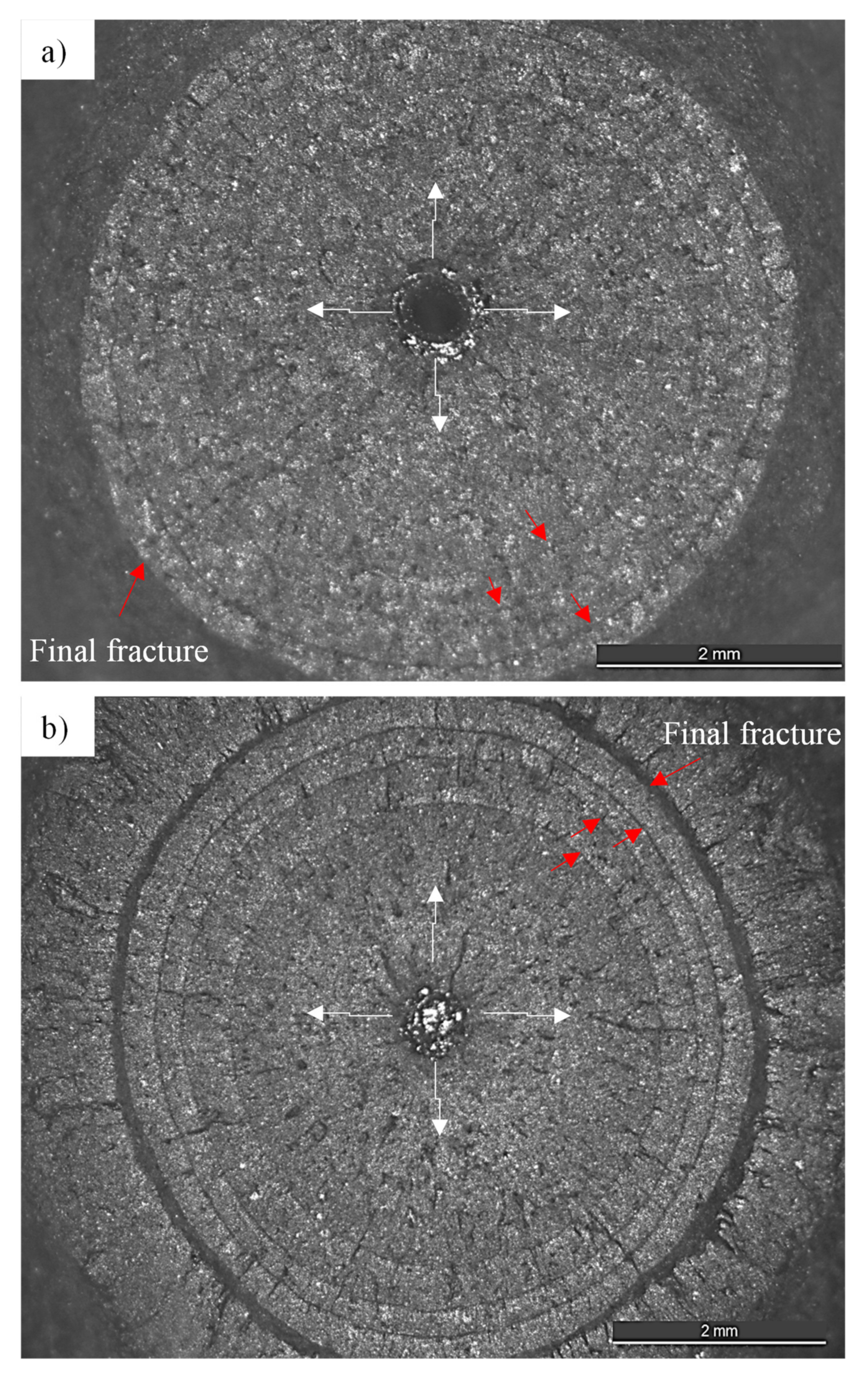 Metals 11 00433 g004