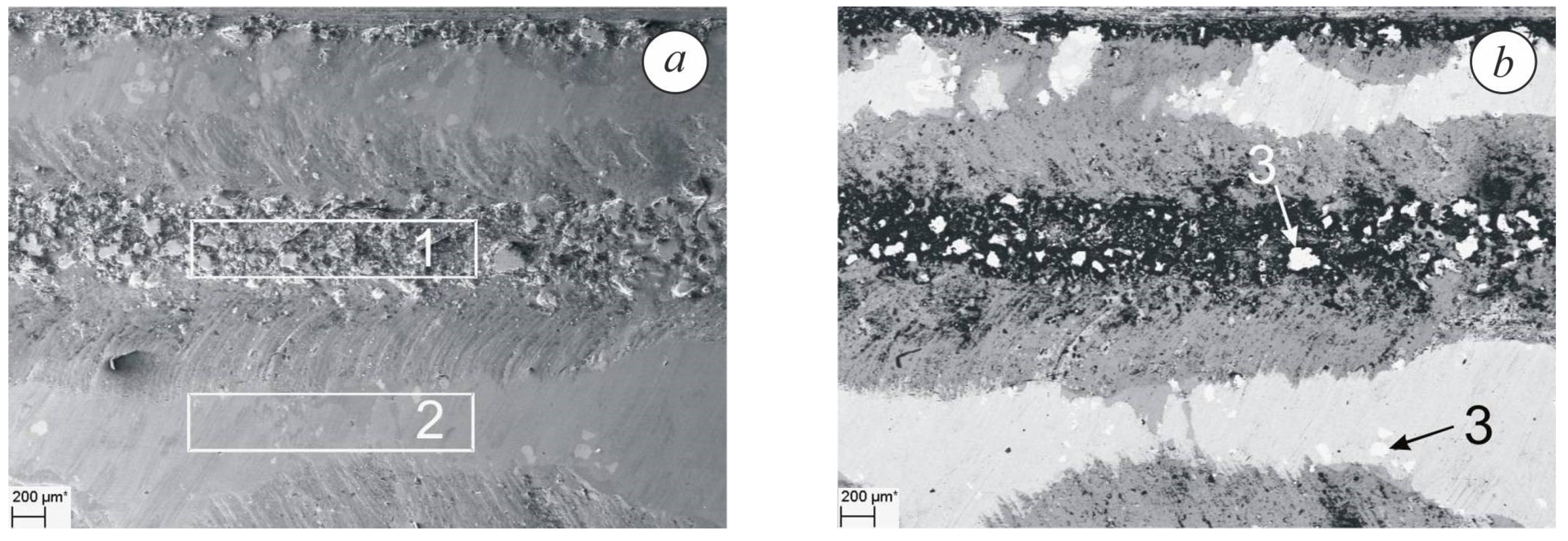 Metals 11 00434 g011