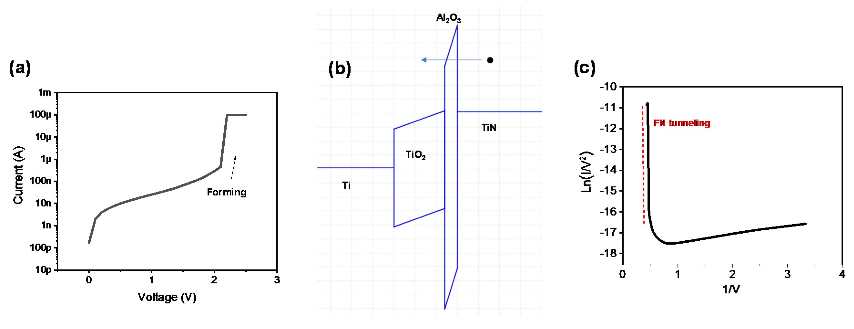Metals 11 00440 g002
