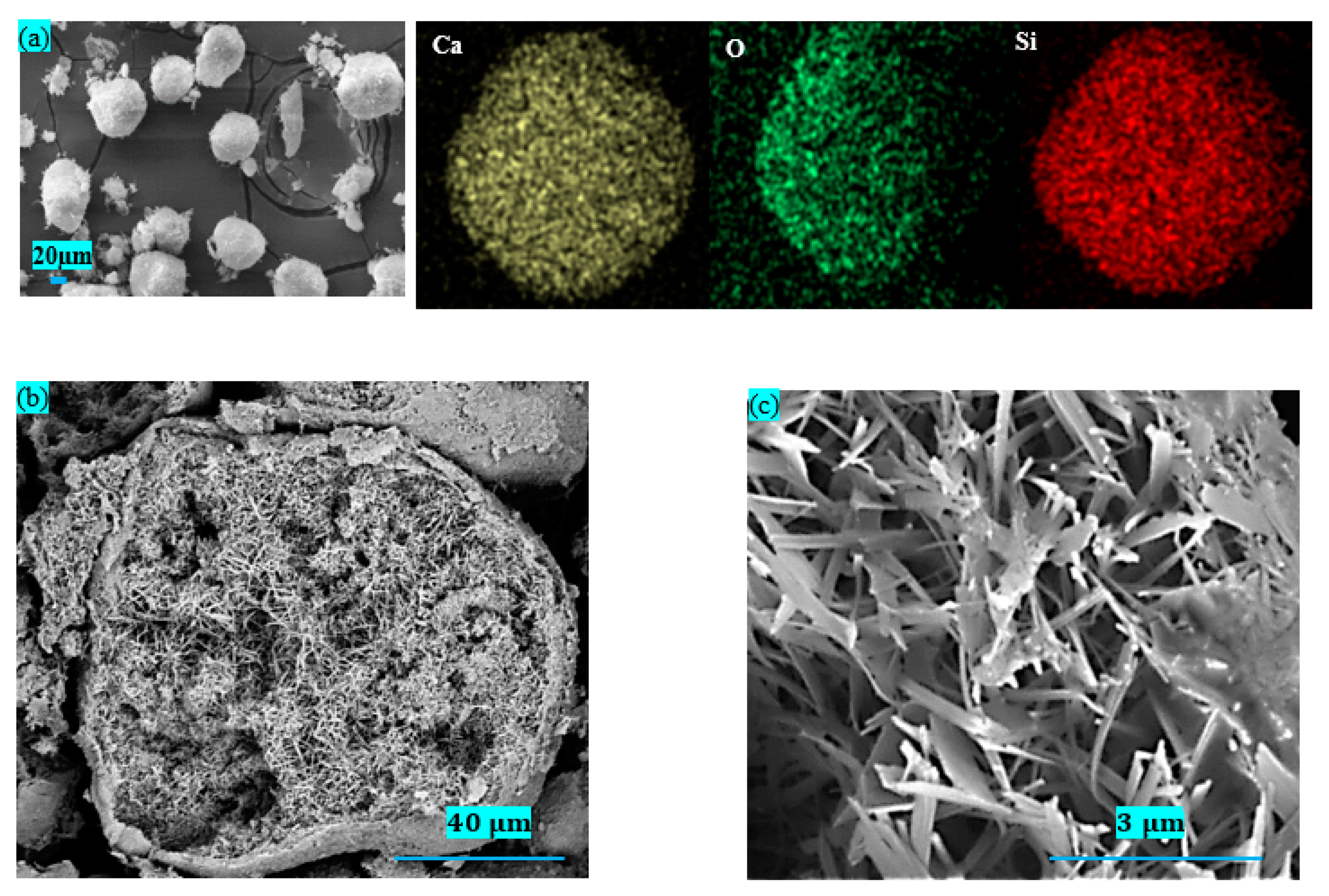 Metals 11 00441 g001