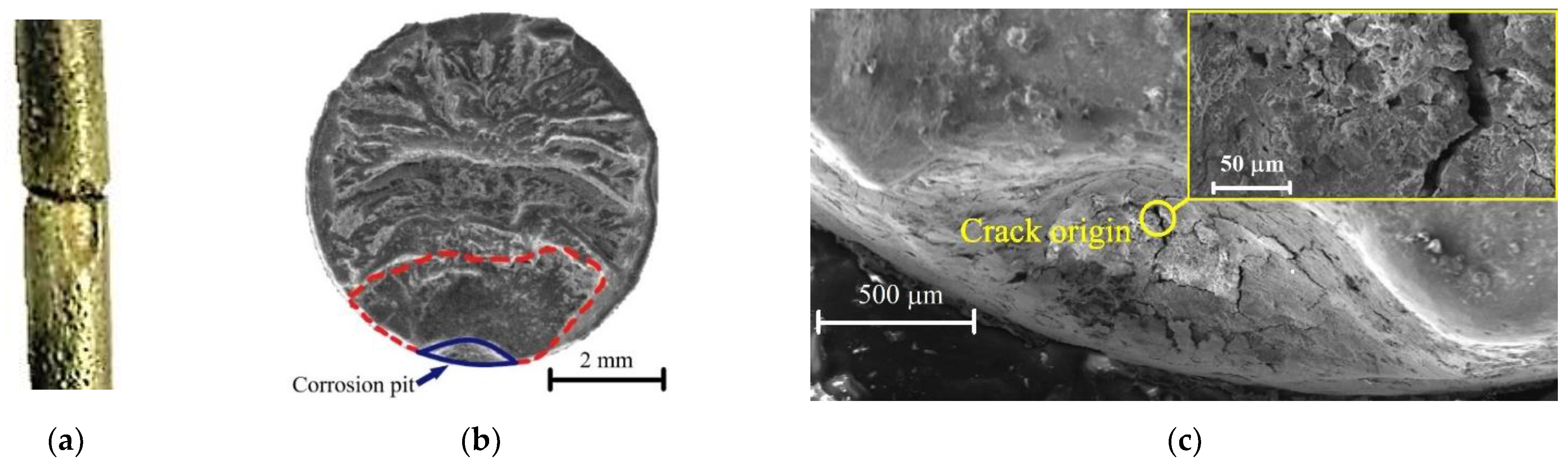 Metals 11 00442 g010