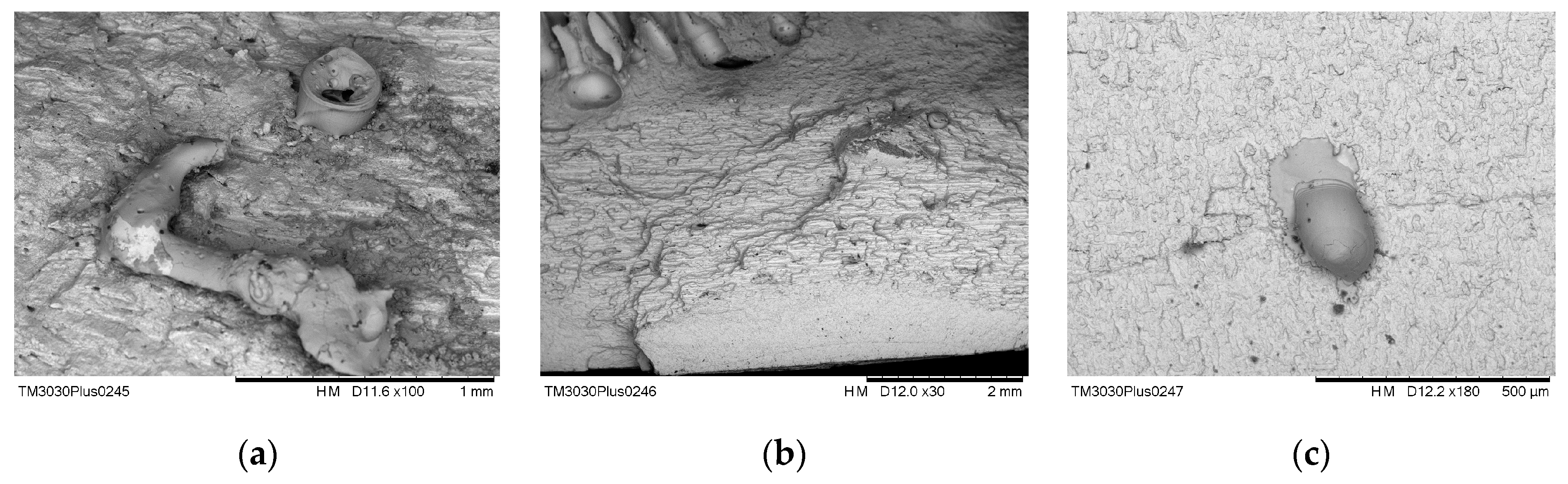 Metals 11 00444 g013