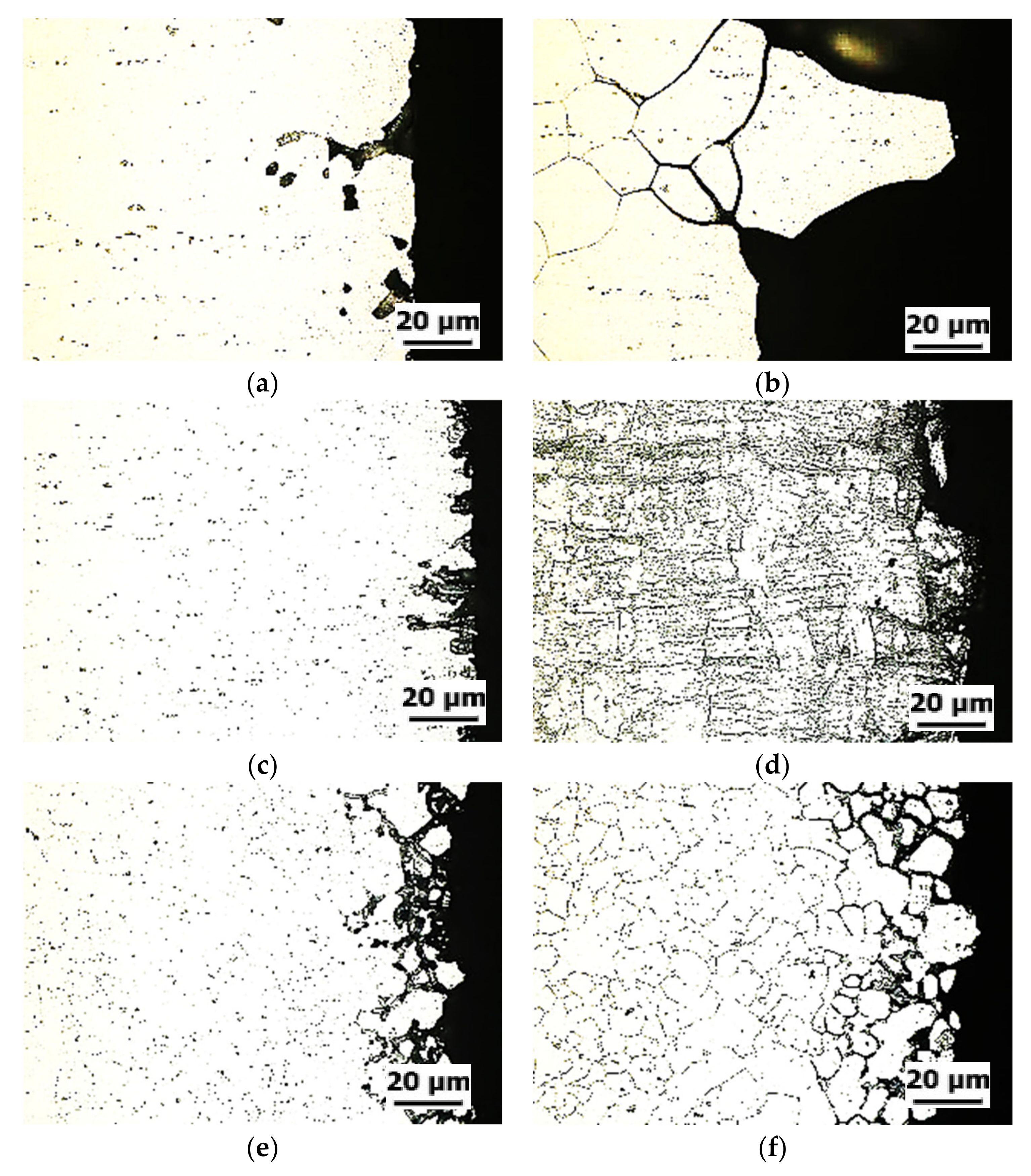 Metals 11 00445 g005