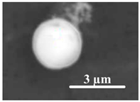 Metals 11 00448 i001 Metals 11 00448 i001