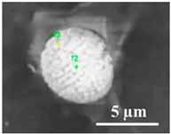 Metals 11 00448 i002 Metals 11 00448 i002