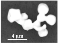 Metals 11 00448 i003 Metals 11 00448 i003