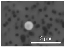 Metals 11 00448 i004 Metals 11 00448 i004