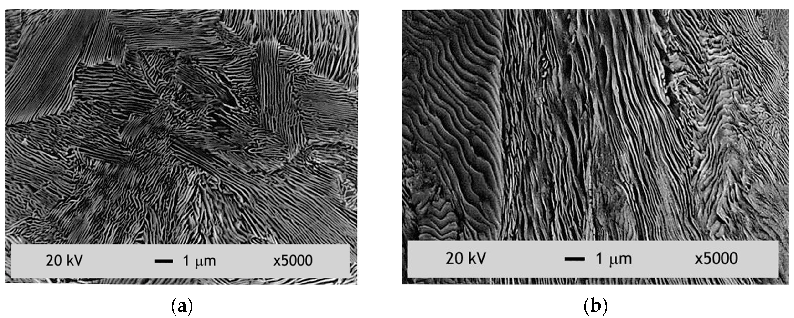 Metals 11 00451 g001 Metals 11 00451 g001