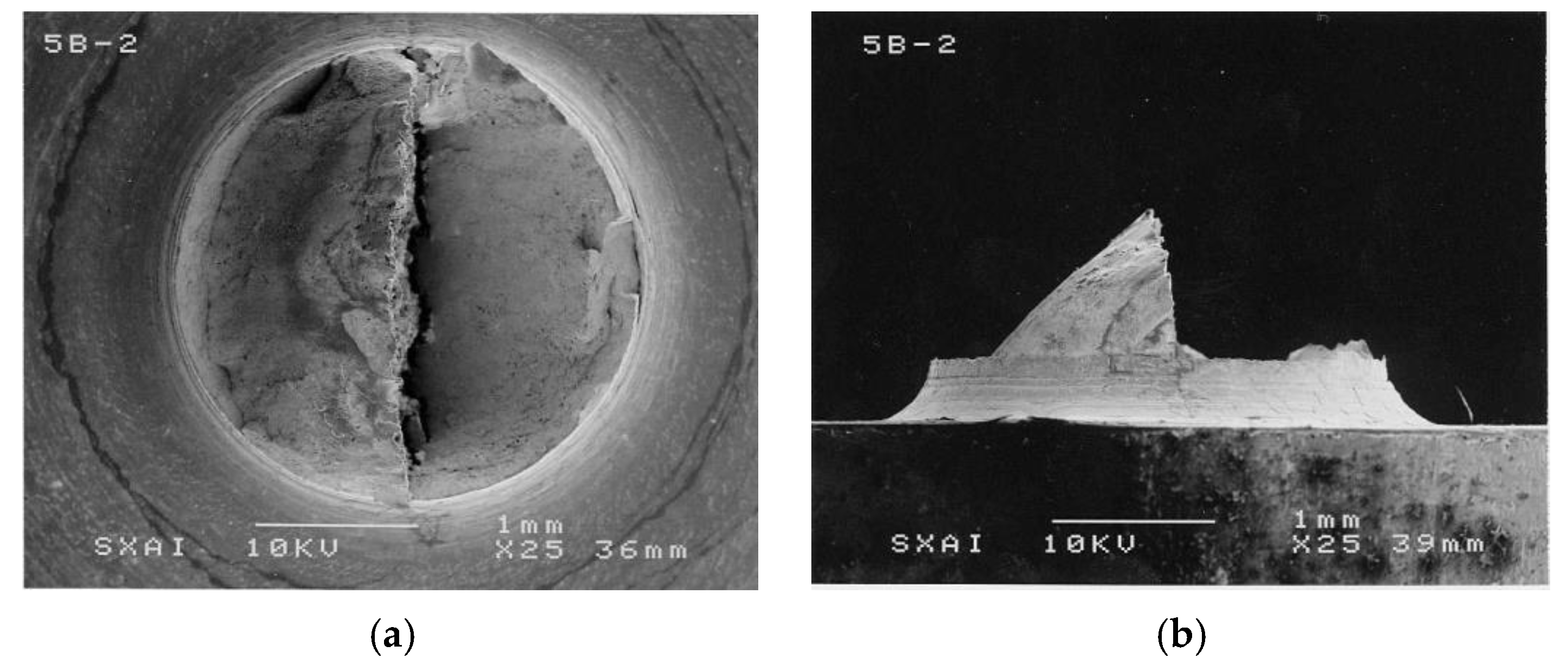 Metals 11 00451 g006 Metals 11 00451 g006