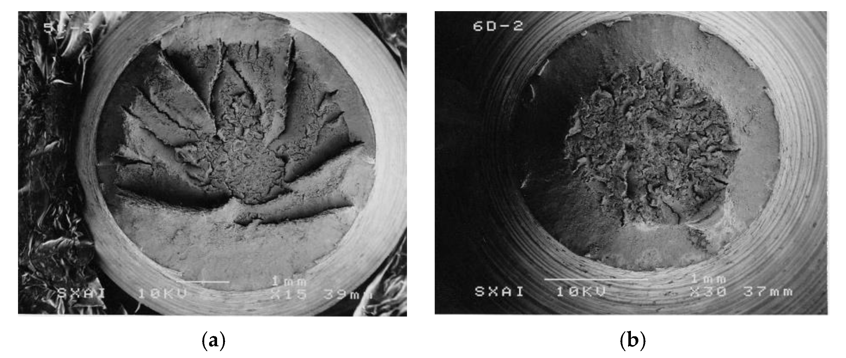 Metals 11 00451 g007 Metals 11 00451 g007