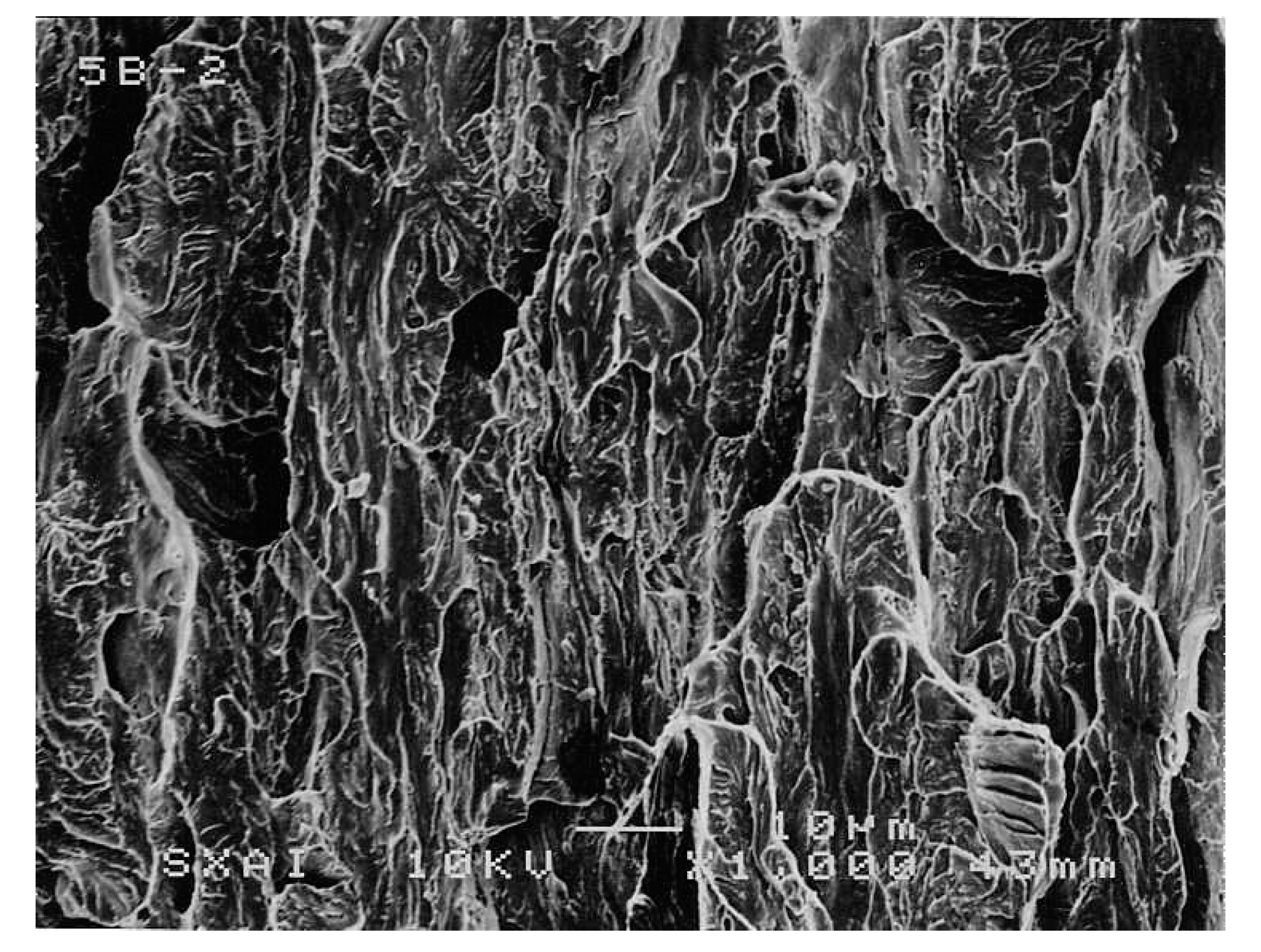 Metals 11 00451 g015 Metals 11 00451 g015