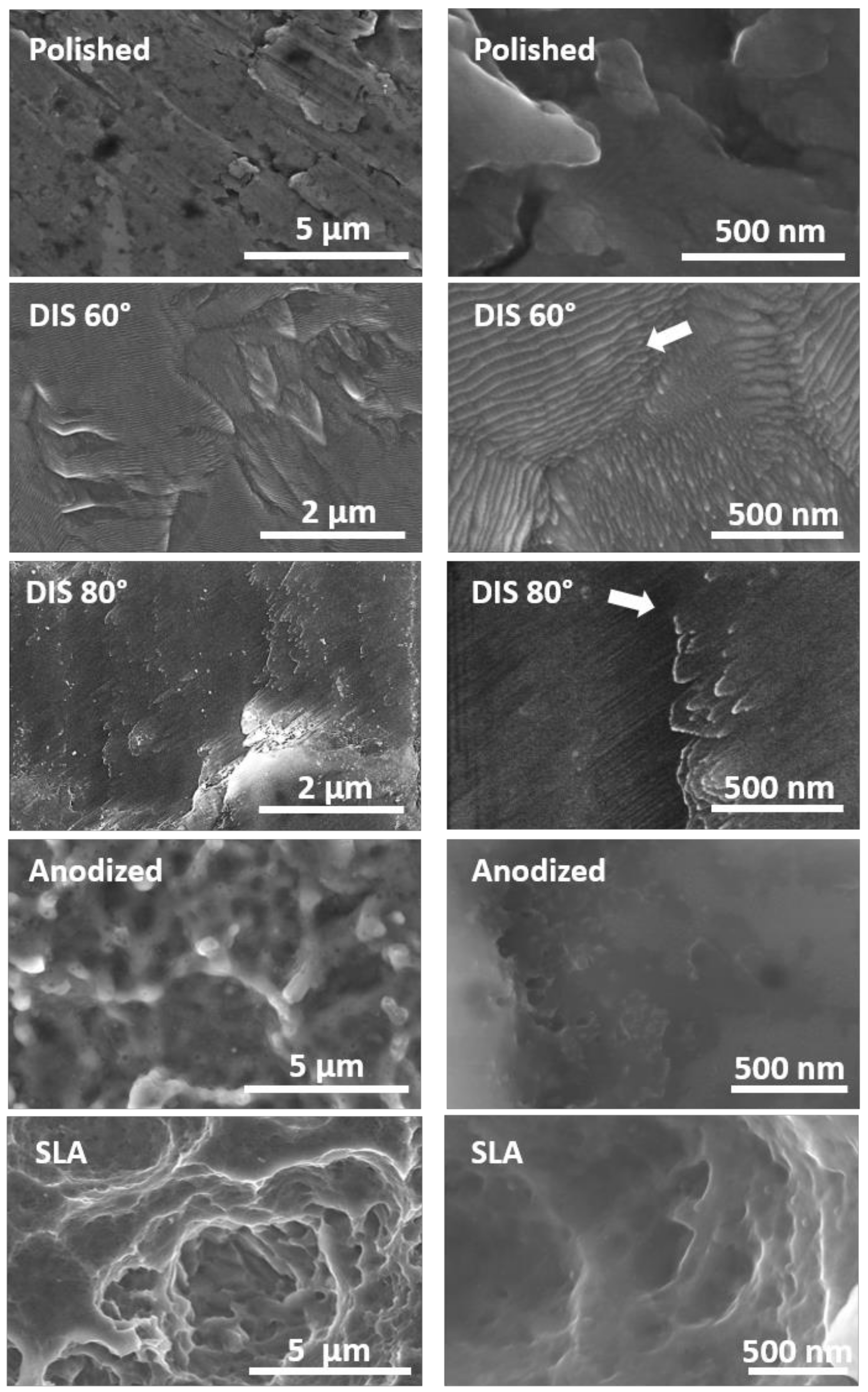 Metals 11 00464 g002 Metals 11 00464 g002