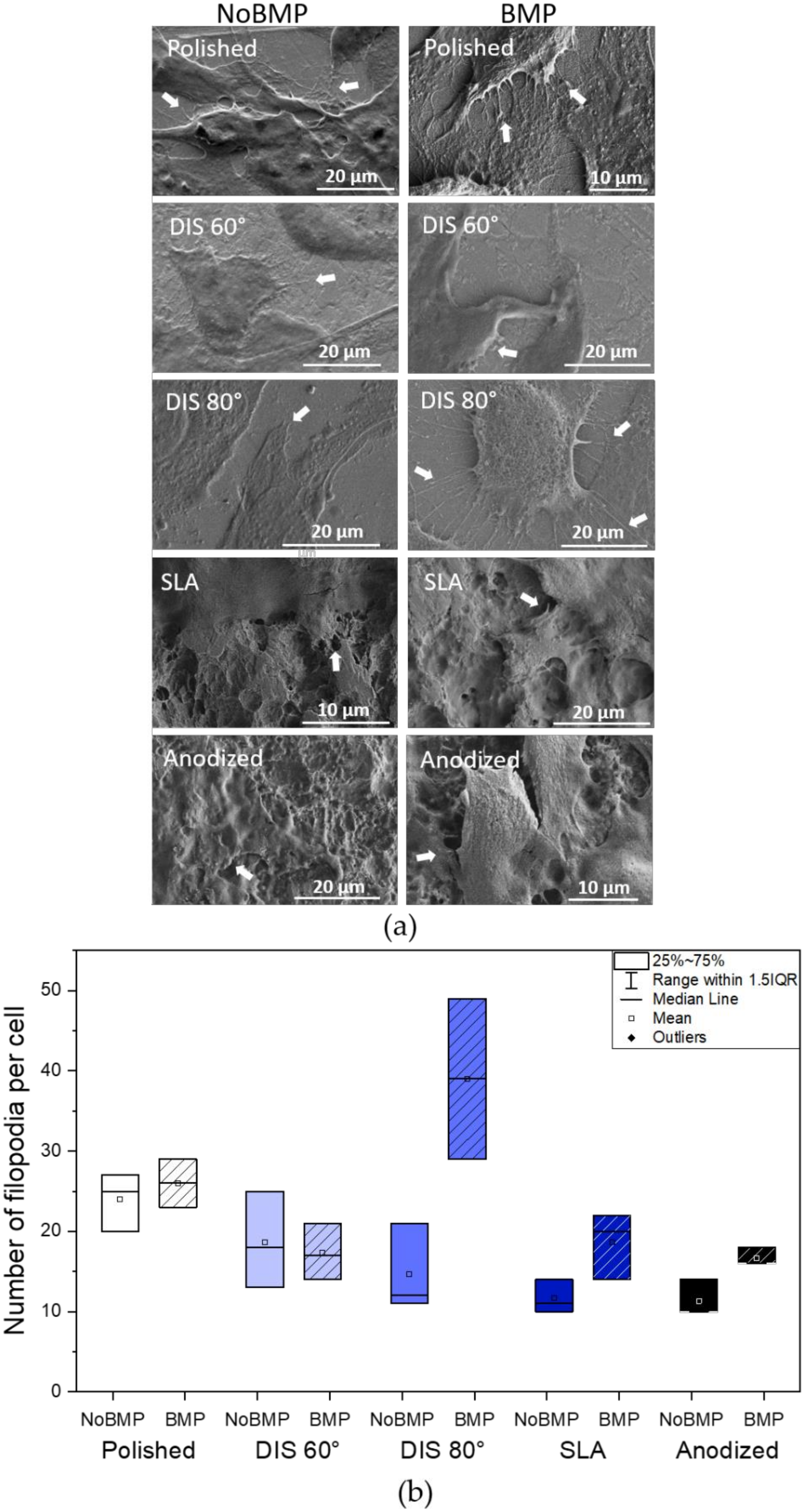 Metals 11 00464 g005 Metals 11 00464 g005
