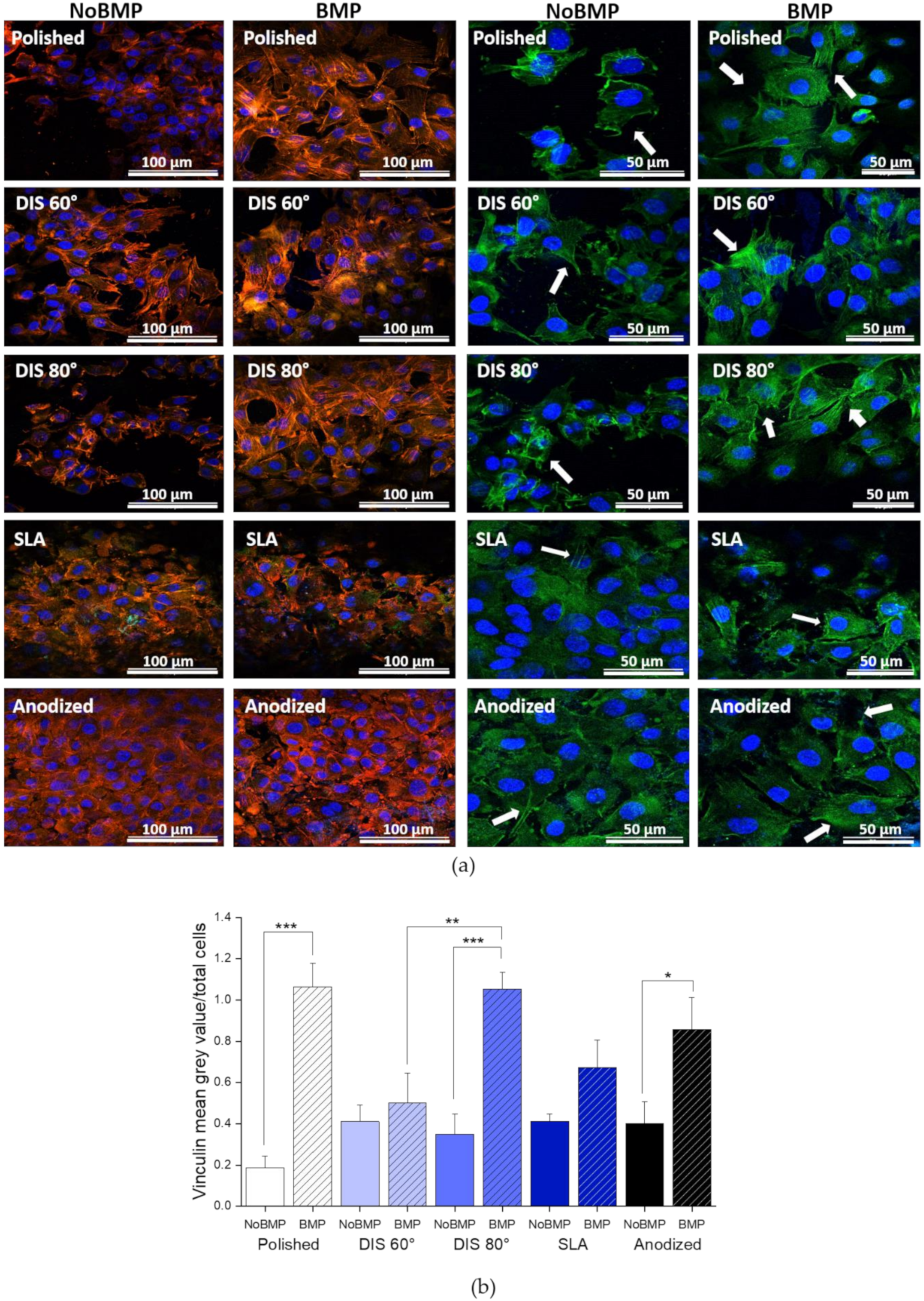 Metals 11 00464 g006 Metals 11 00464 g006