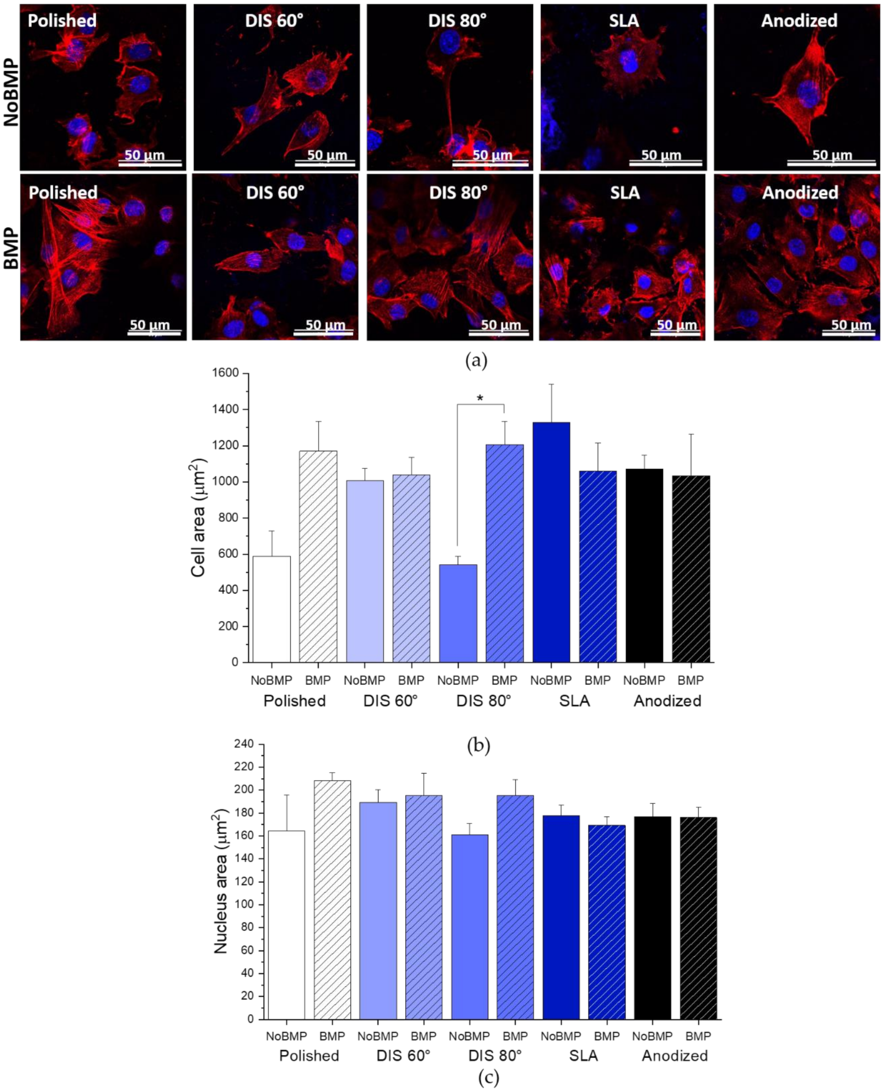 Metals 11 00464 g007 Metals 11 00464 g007